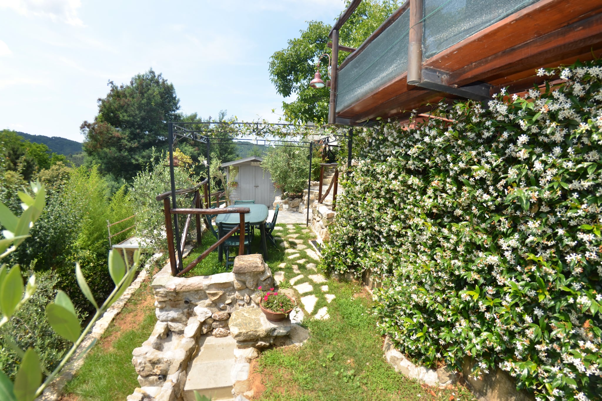 Garden Summer