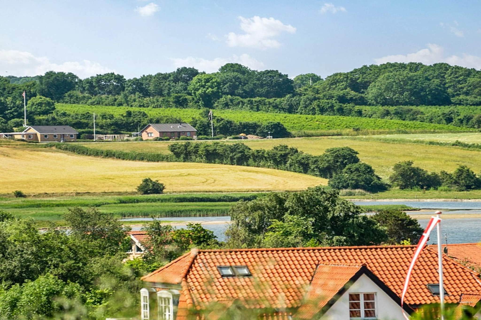 Internet Access DSL, open kitchen(cooker(electric), hood, coffee machine, microwave, dishwasher, fridge(+ freezer)), Living/bed room(double folding bed, TV(german television channels, danish TV channels (DR1 and TV2)), high chair), bedroom(double bed), bedroom(2x bunk bed), bathroom(bathtub or shower, washbasin, toilet), game computer, heating(electric), terrace, garden, BBQ, table football, air to air heatpump