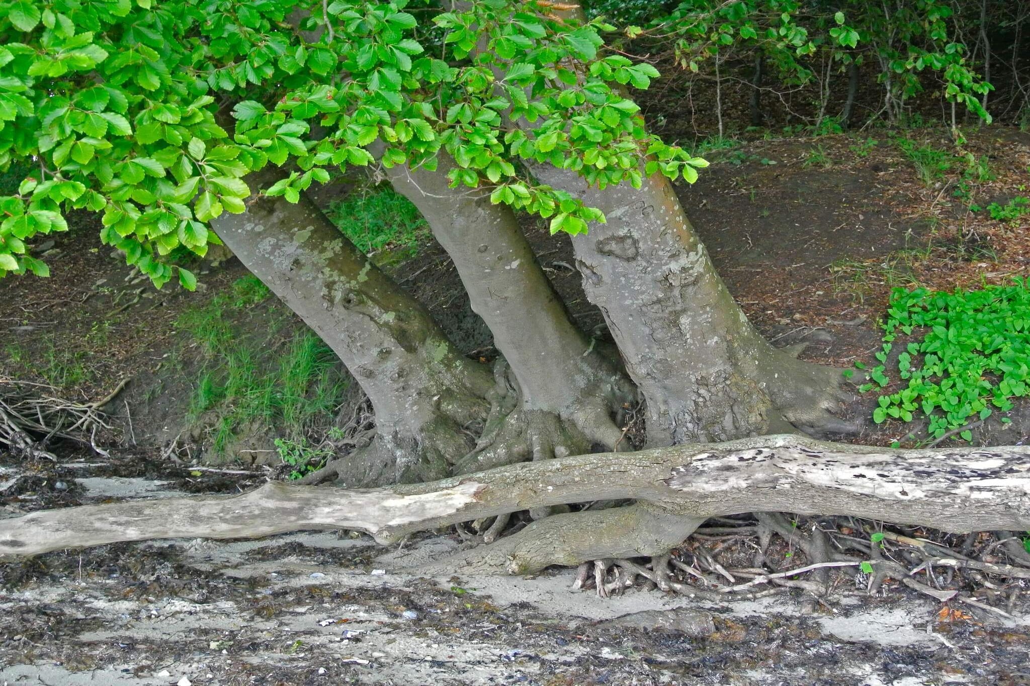 Strandplezier in Hejlsminde -- By Traum Ferienwohnungen-Niet-getagd