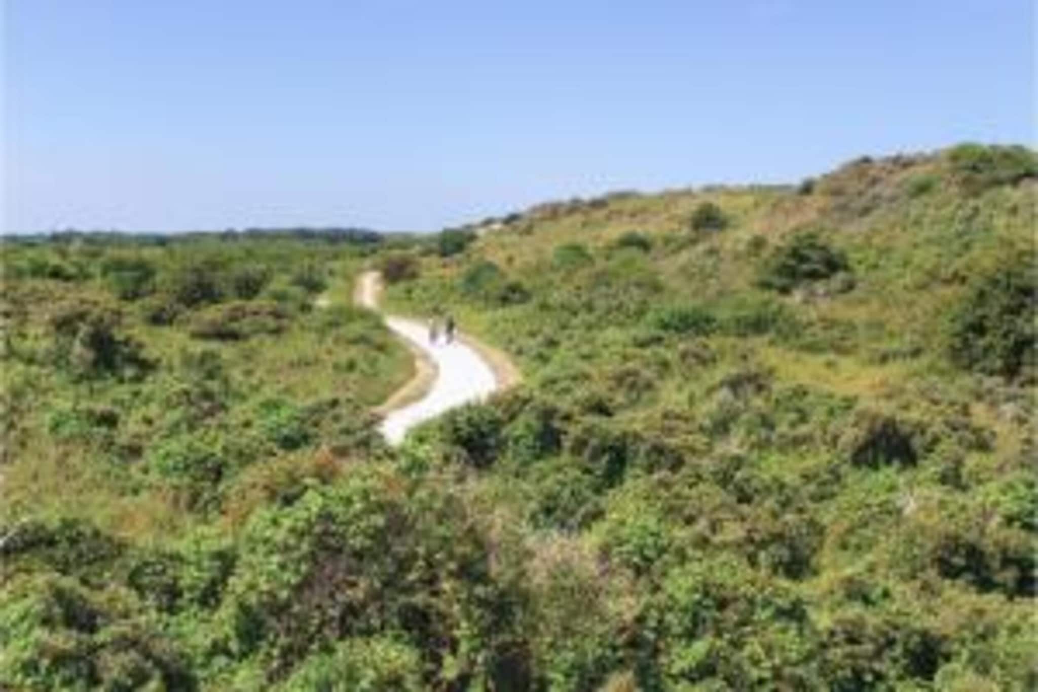 Vakantiepark de Soeten Haert 18-Gebieden zomer 1km