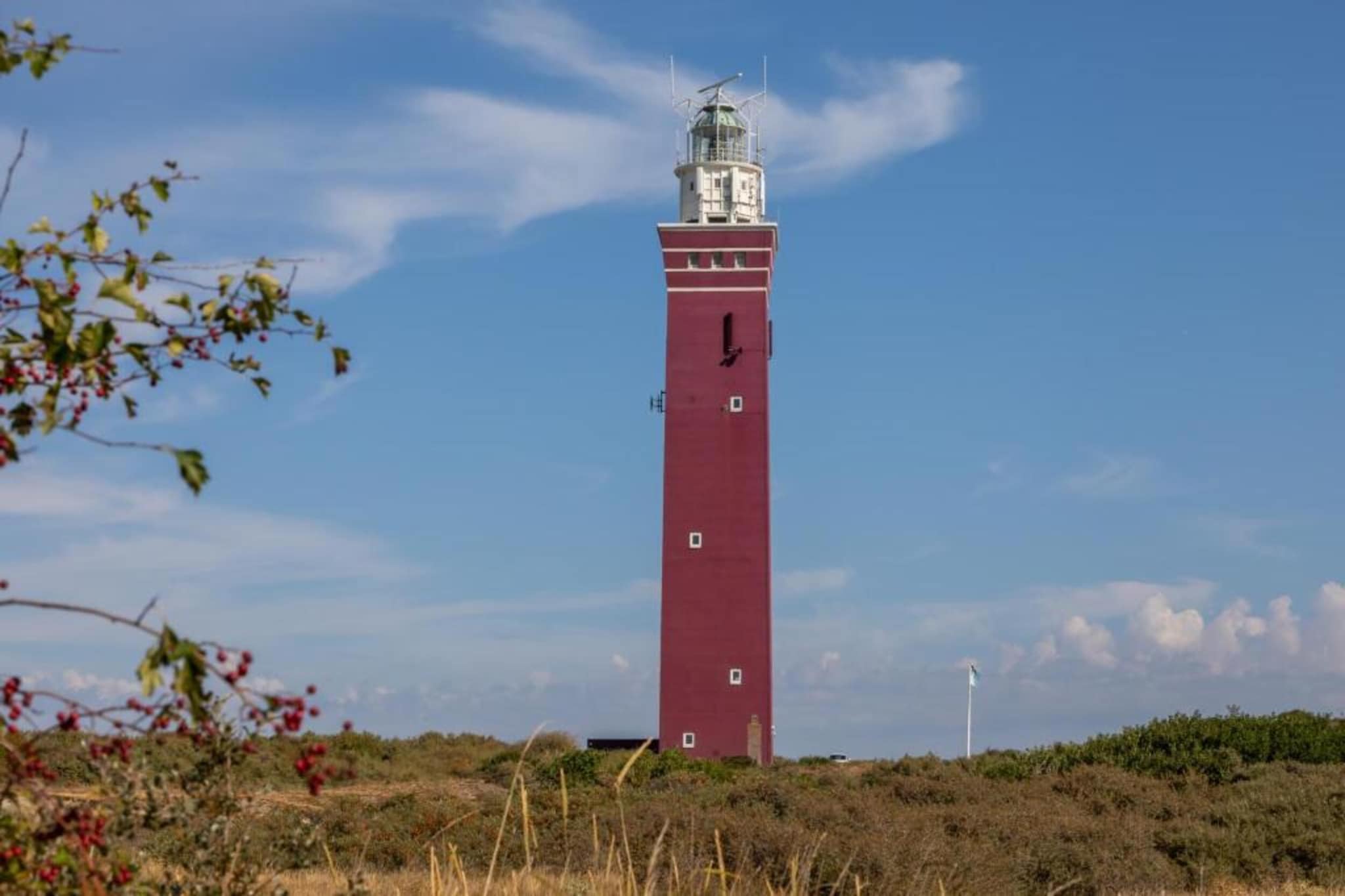 Vakantiepark de Soeten Haert 18-Gebieden zomer 1km
