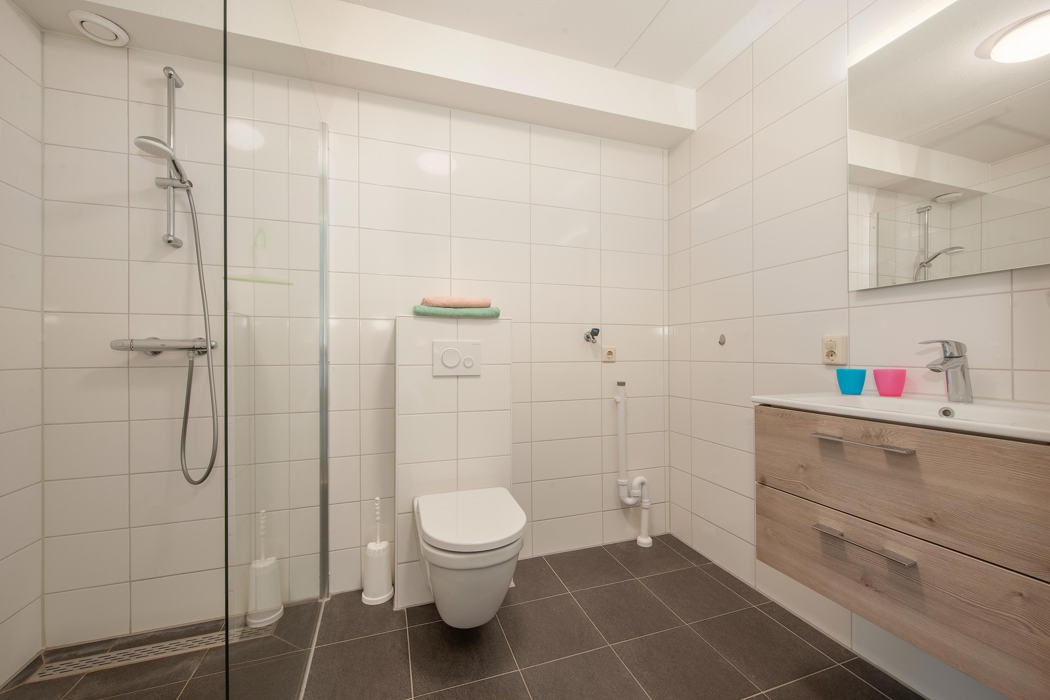 Vakantiepark de Soeten Haert 19-Badkamer