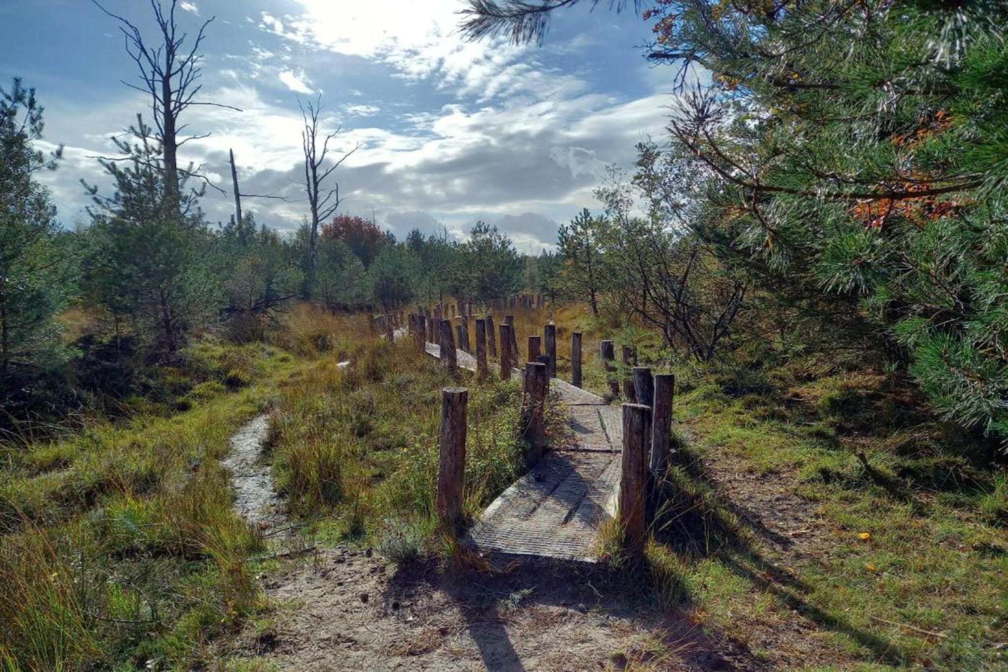 Landgoed Het Grote Zand 13-Gebieden zomer 20km