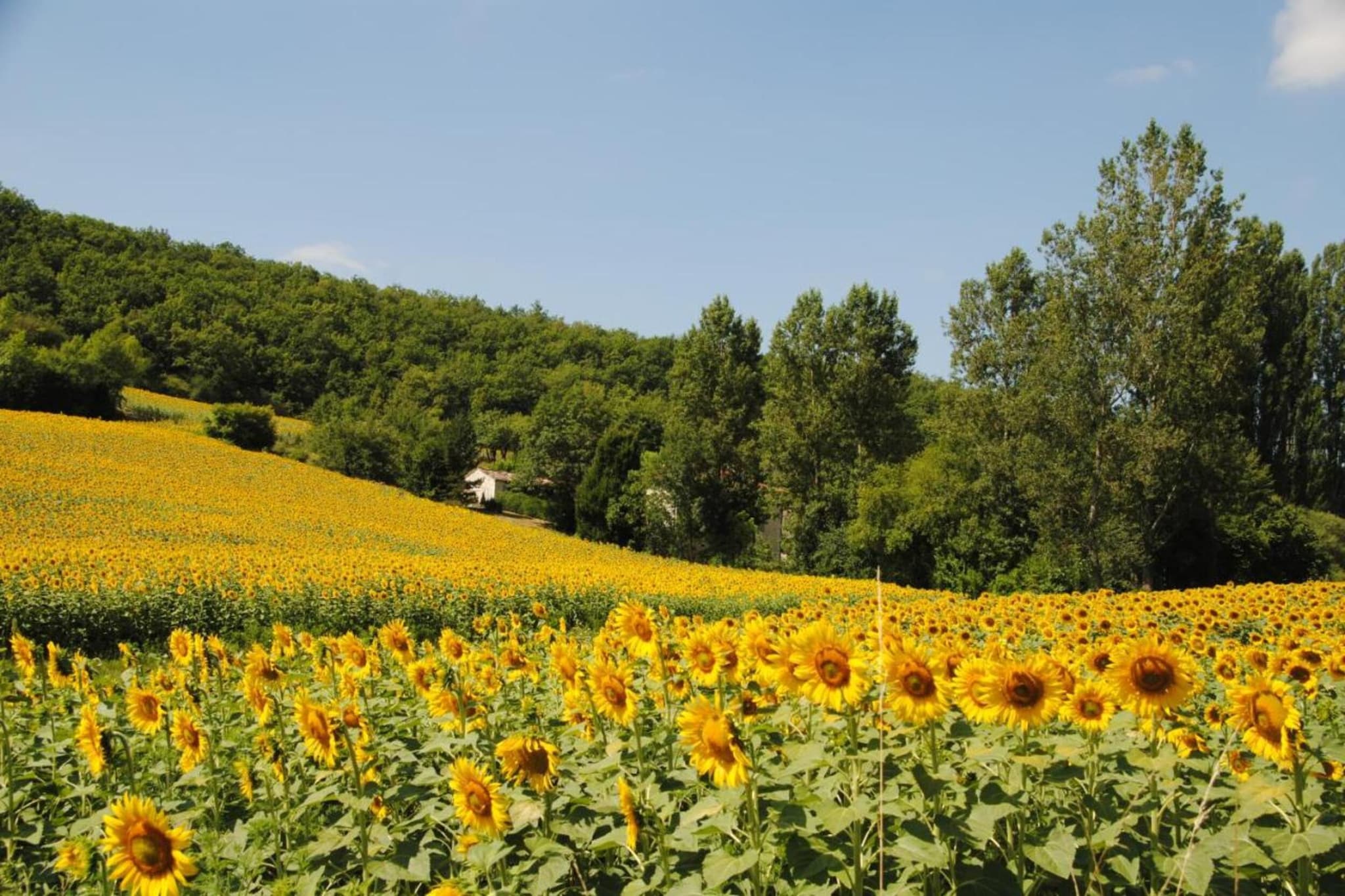 Les Volets Bleus - 4 pers-Areas summer 20km