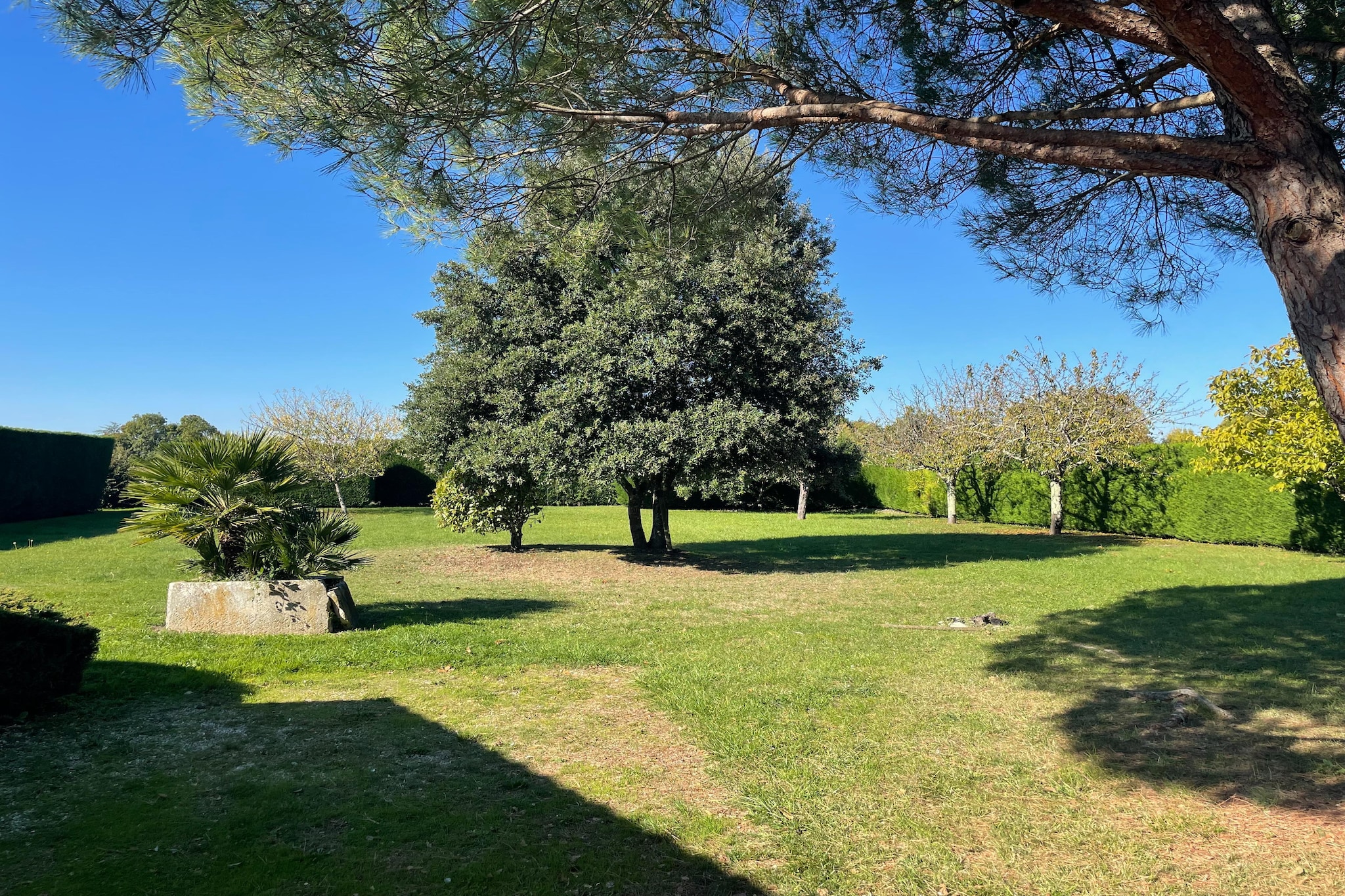 Villa Petite Champagne-Garten Sommer