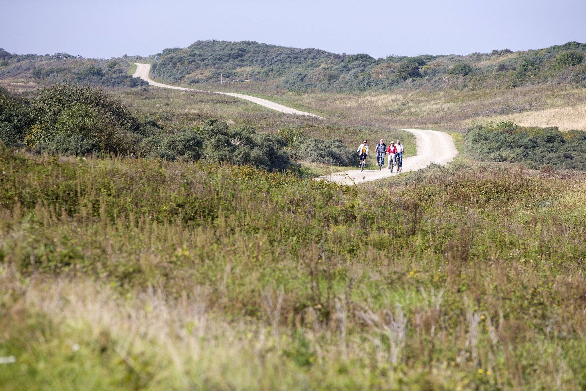 Strandpark Duynhille 3-Tuinen zomer