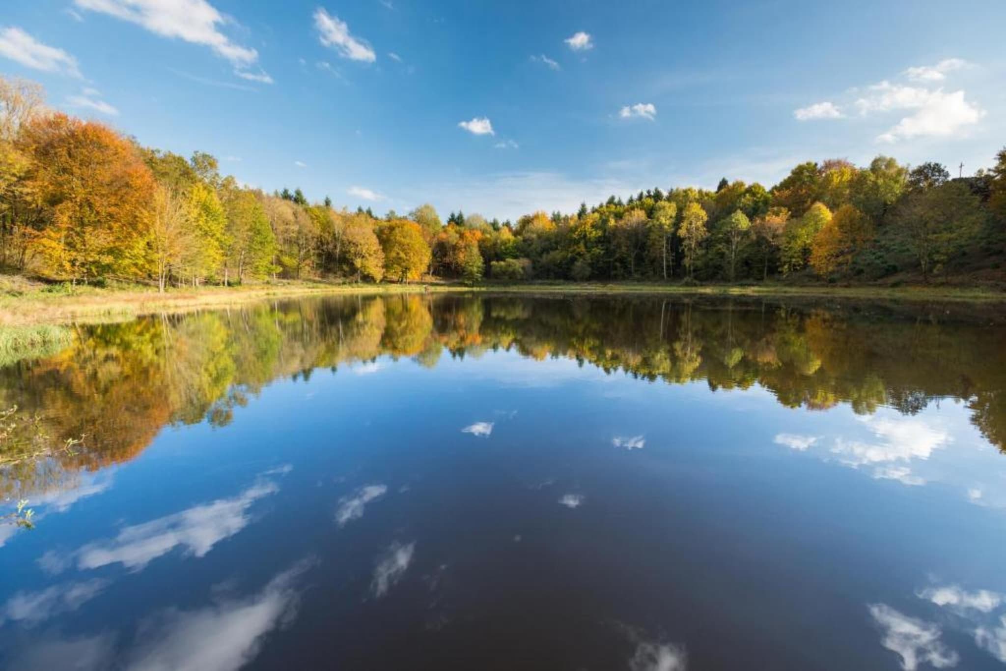 Ferienwohnung zum Weiher-Zones d'été à 20 km