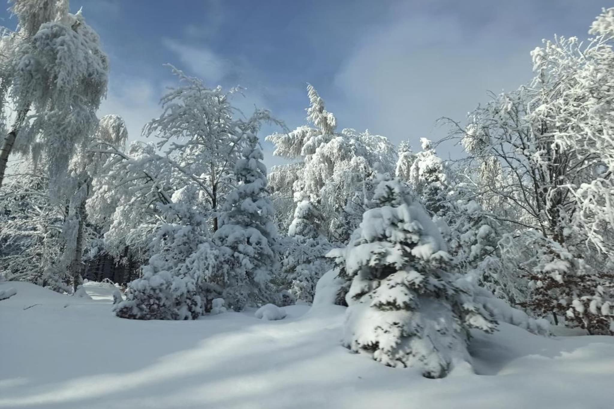 Mountain house Marie-Zone d'hiver à 5 km