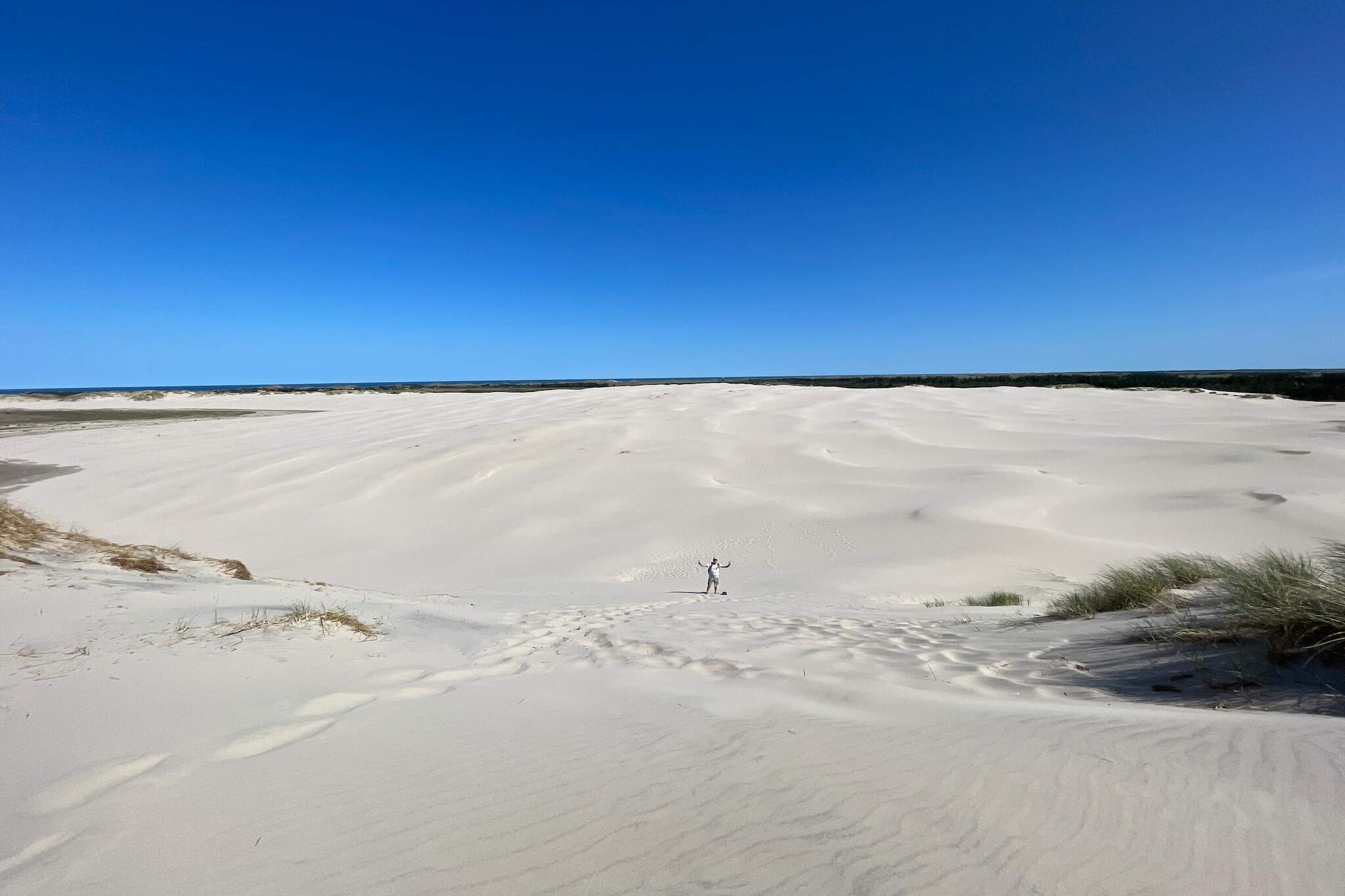 Rustig strandverblijf -- By Traum Ferienwohnungen