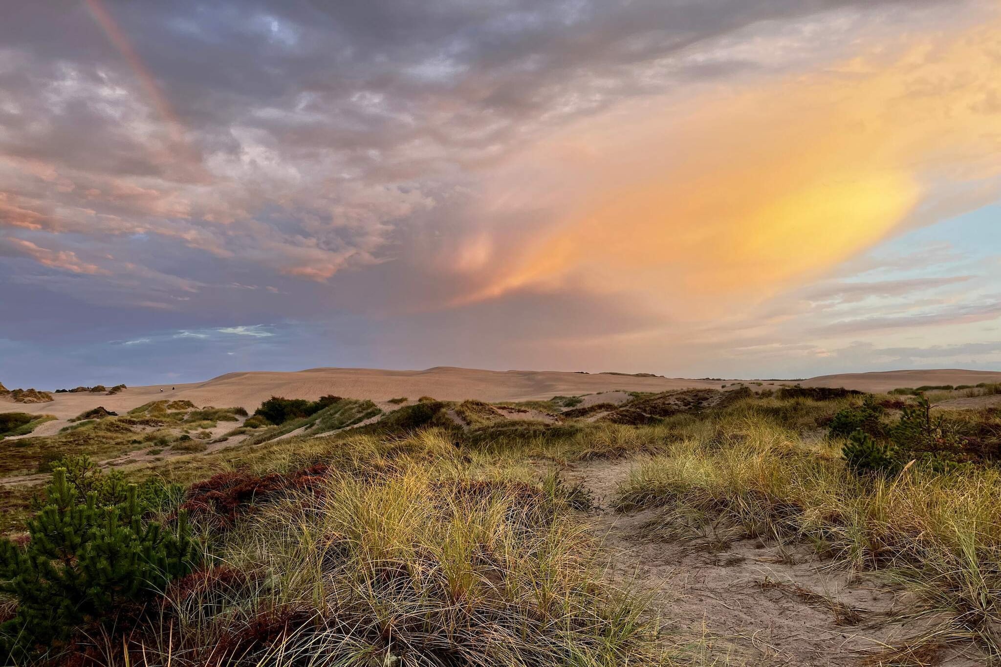Rustig strandverblijf -- By Traum Ferienwohnungen-Niet-getagd