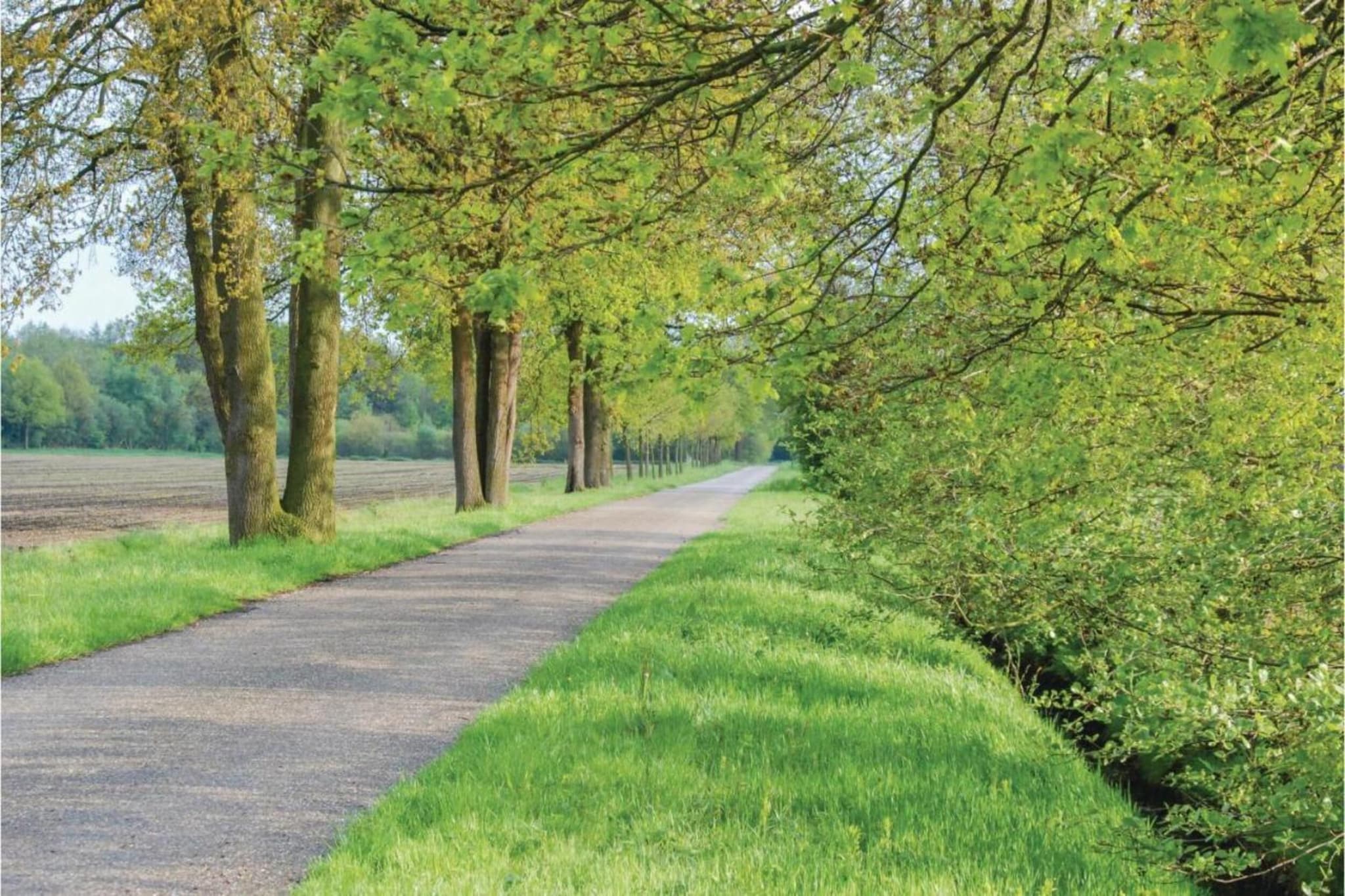 Dorpswoning In het Bos-Zones d'été à 5 km
