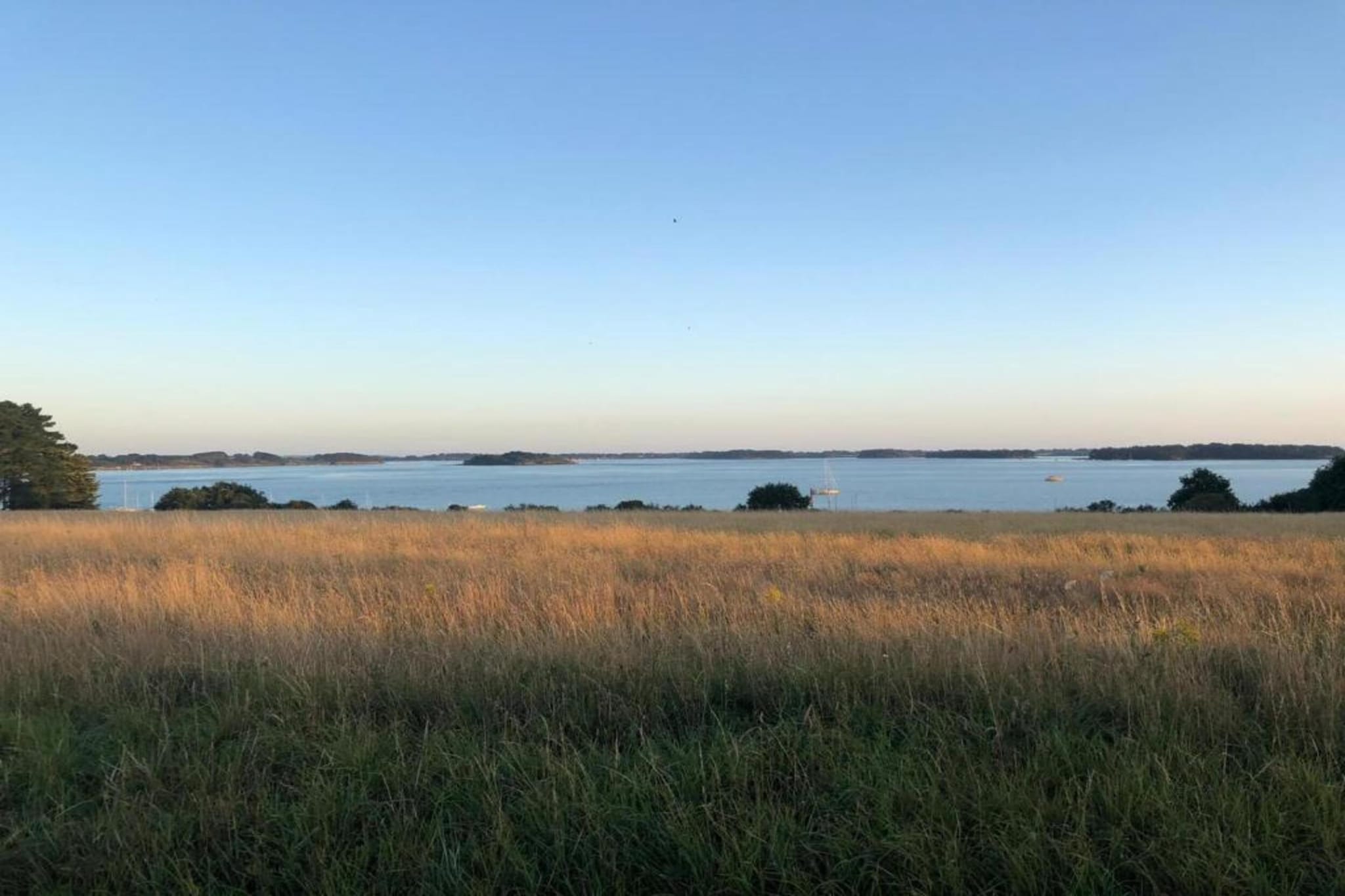 Les Iles du Morbihan 1-Areas summer 5km