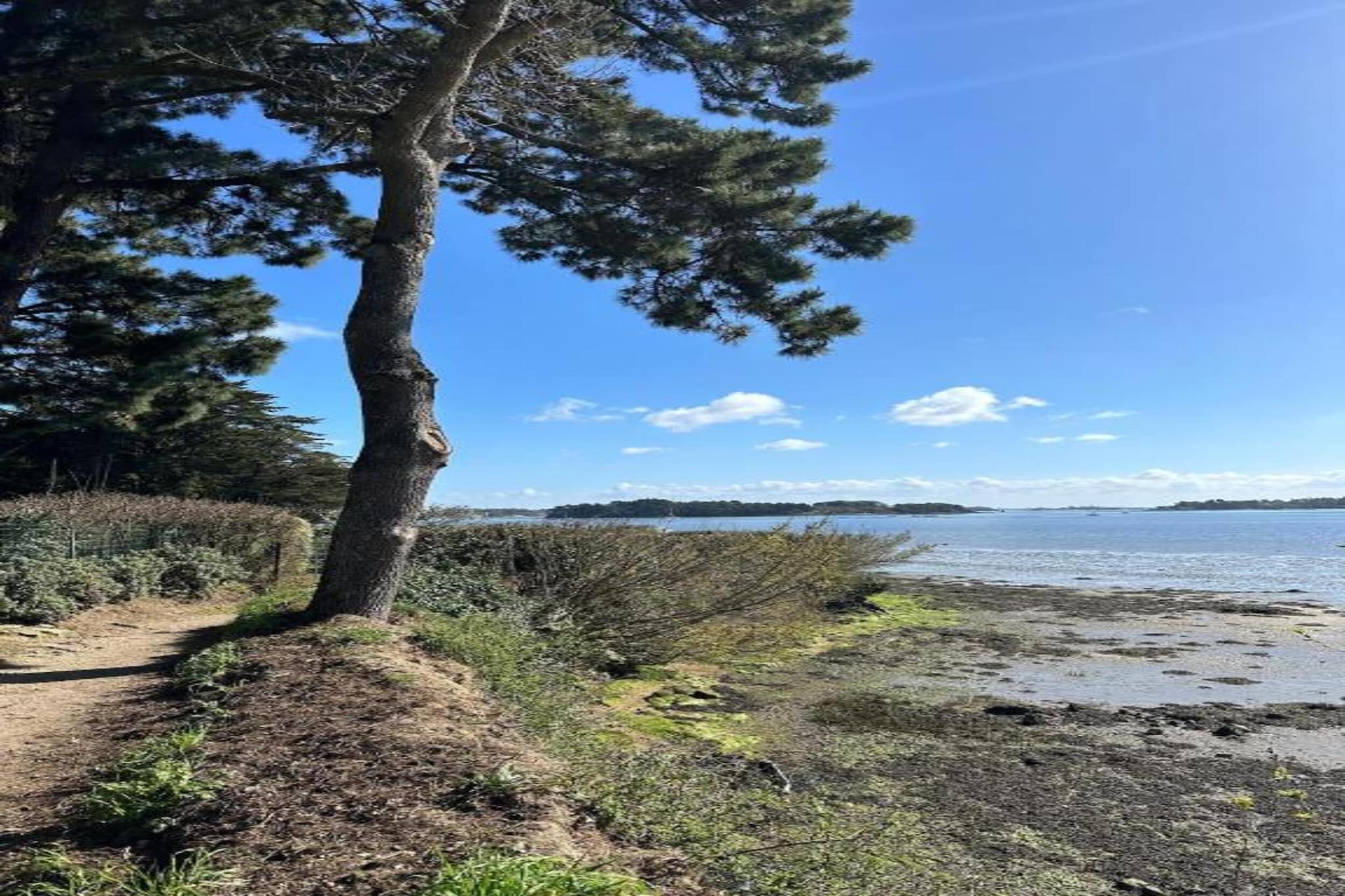 Les Iles du Morbihan 1-Areas summer 5km