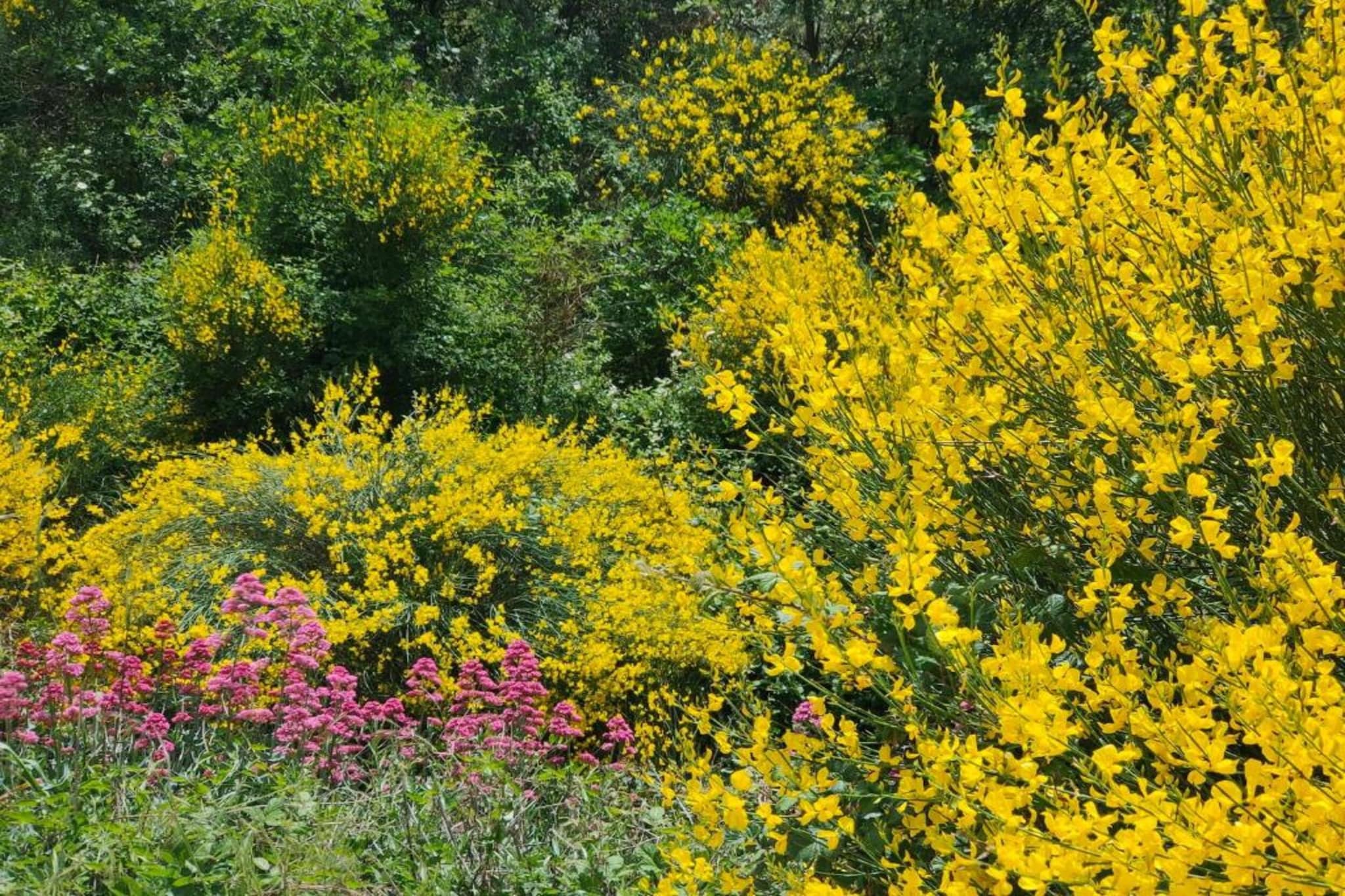La Bastide des Chênes 2-Gebieden zomer 20km