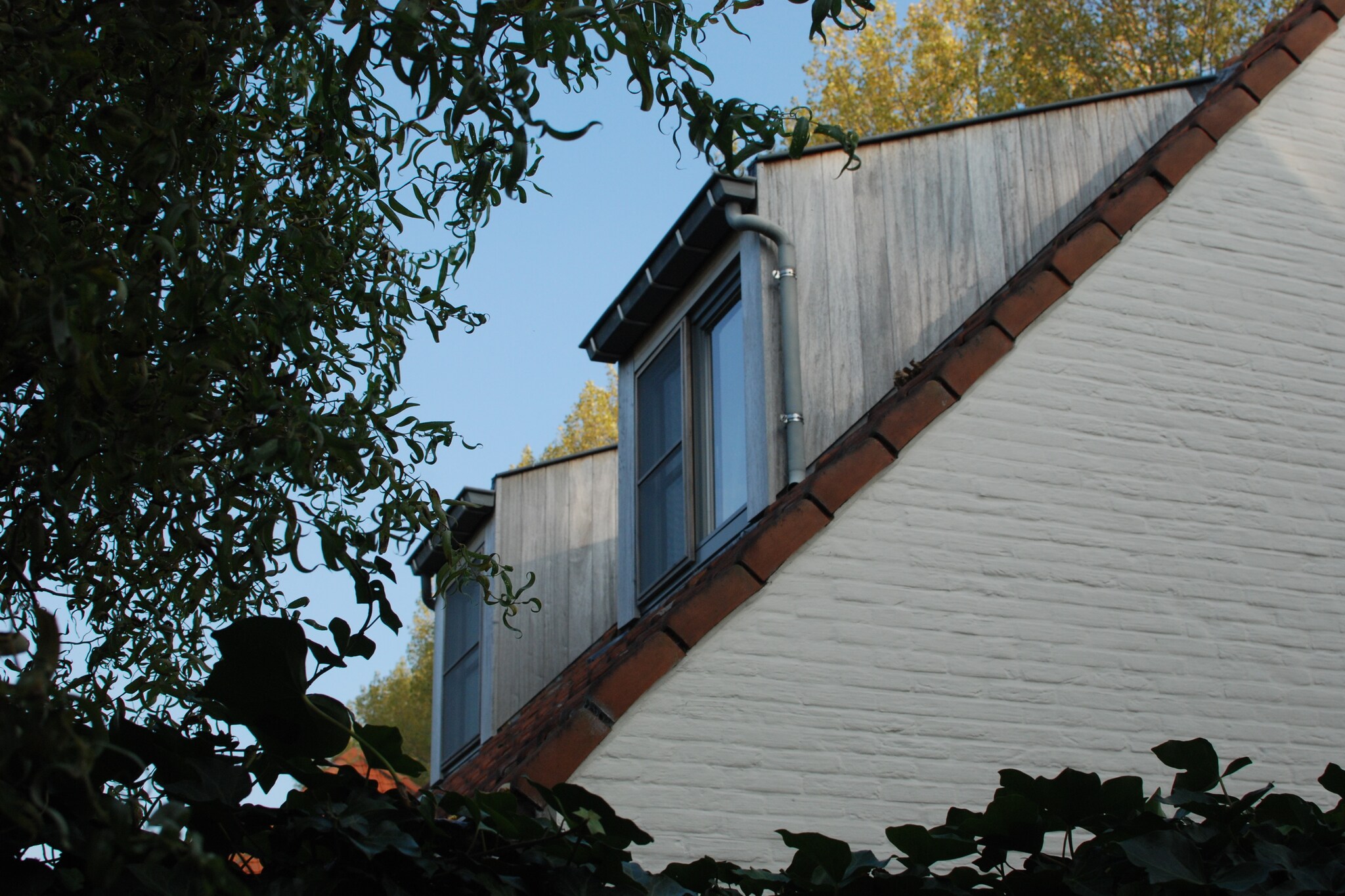 Vakantiehuis Damme max. 5 personen 1 huisdier 3 slaapkamers #40