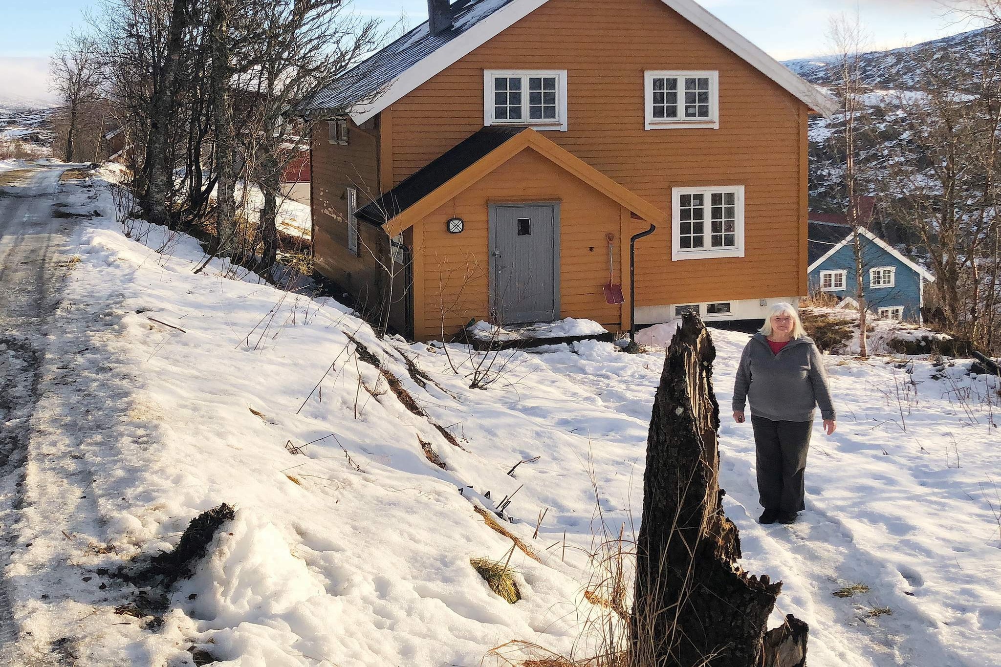 Sommerhus Skorovatn