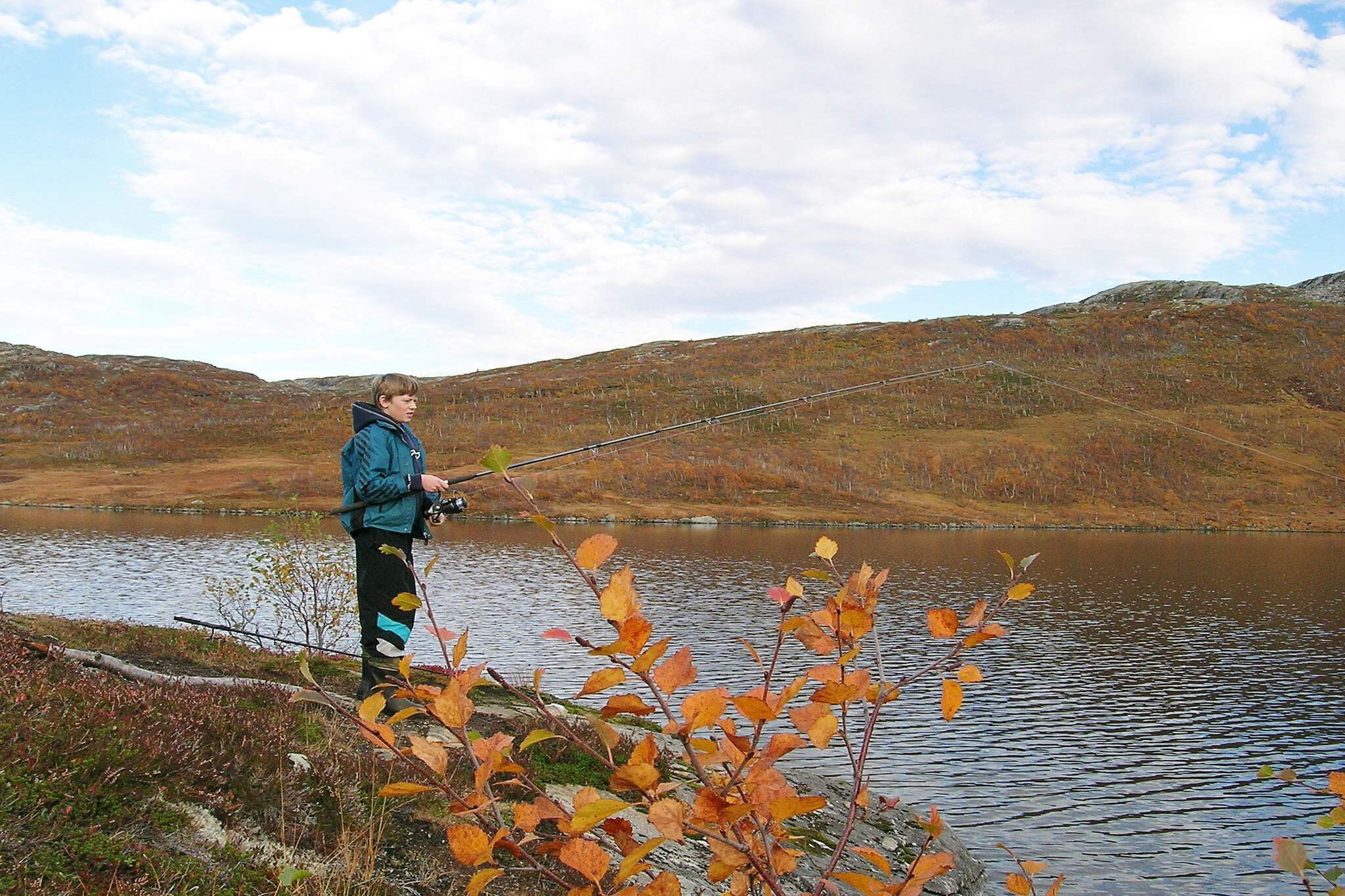 Internet Access DSL, Kitchen(20 m2)(cooker(electric), hood, coffee machine(filter), microwave, fridge, freezer(100-139L), washing machine), Living/bed room(30 m2)(TV(cable, norvegian TV channels )), bedroom(17 m2)(2x single bed, cot), bedroom(15 m2)(2x single bed), bedroom(12 m2)(double folding bed), bathroom(bath tub, washbasin, shower, toilet), radio, heating(electric), garden furniture, BBQ, parking, air to air heatpump