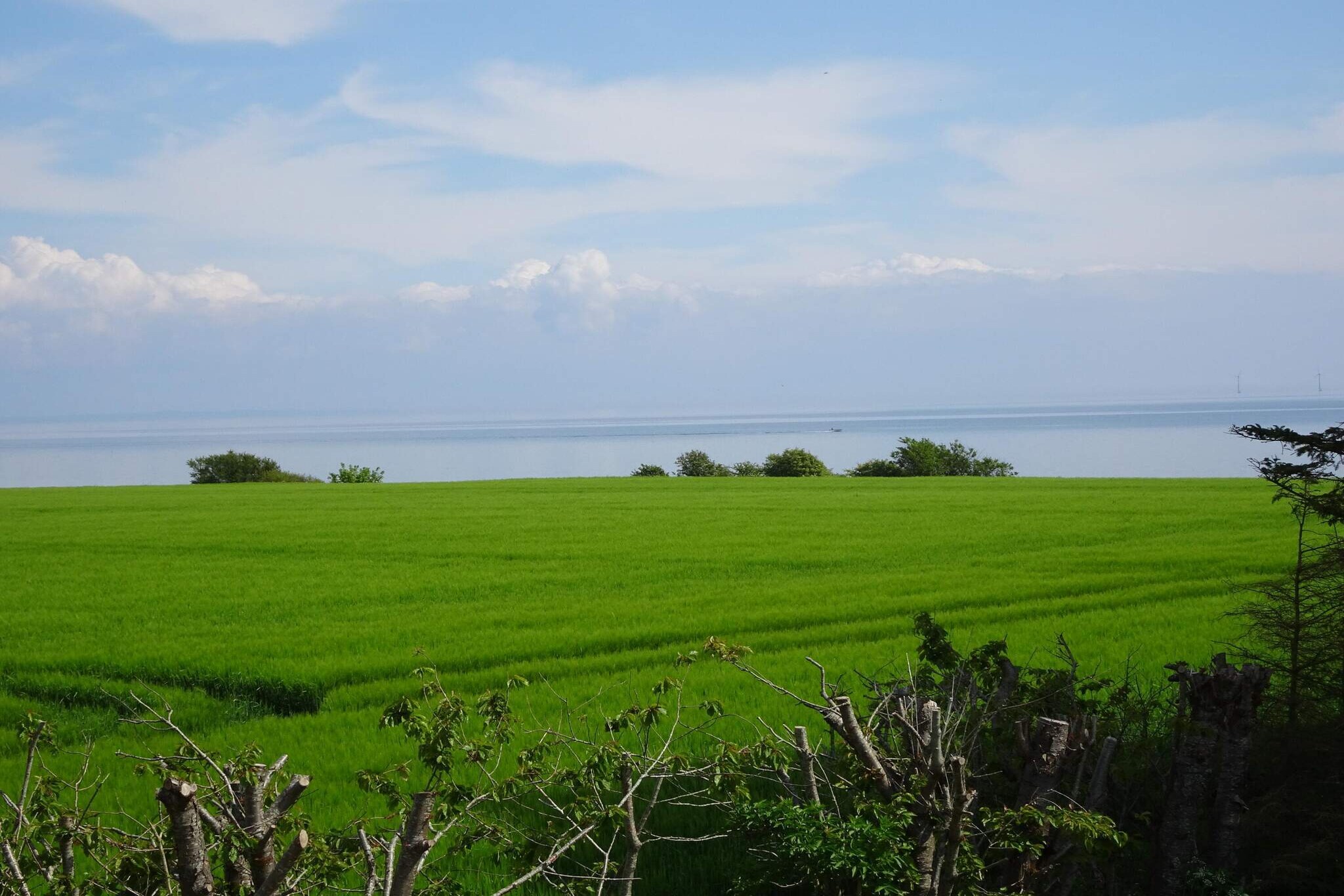 6 person holiday home in Odder-By Traum-Untagged