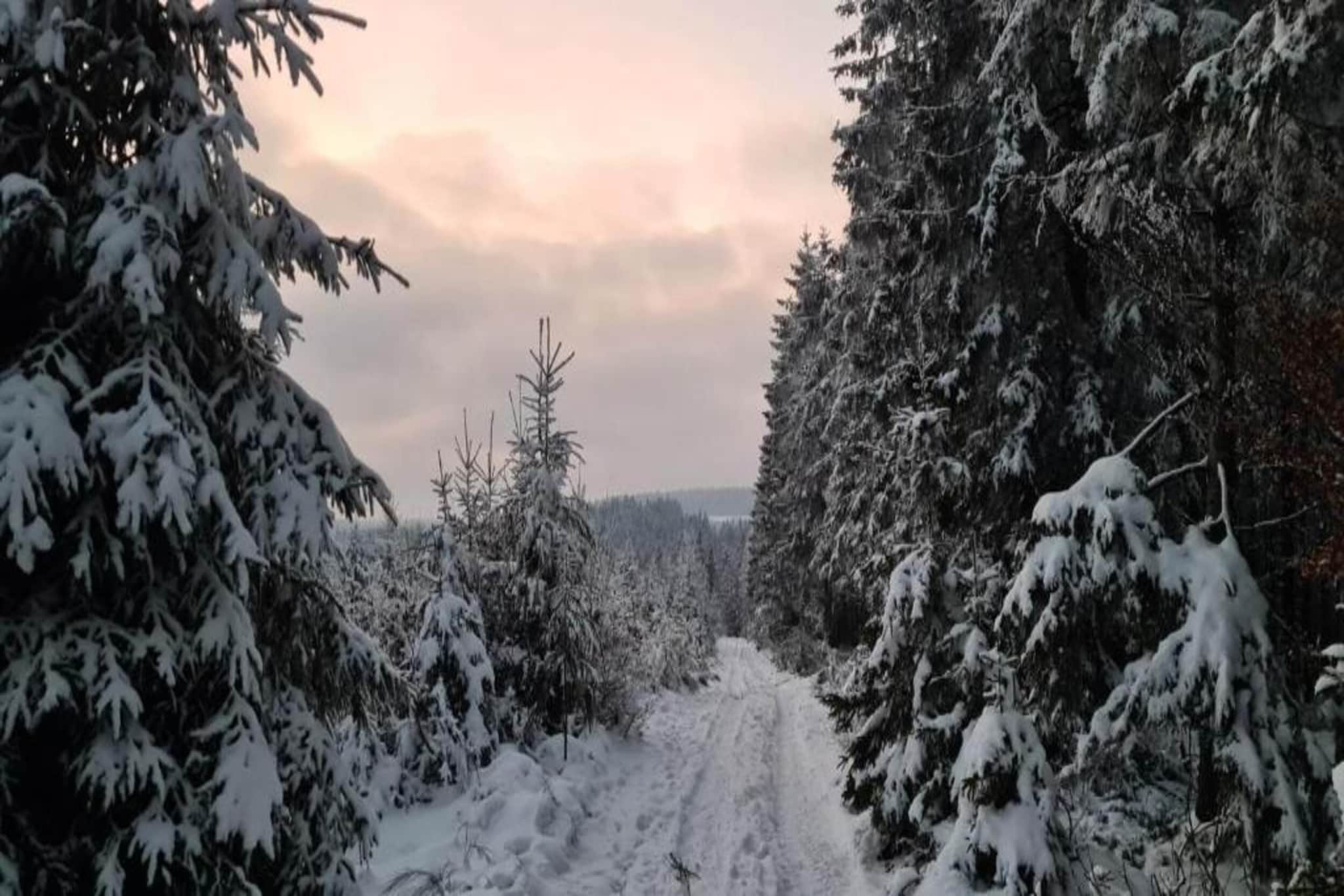 La Maison du Gnome-Area winter 20km