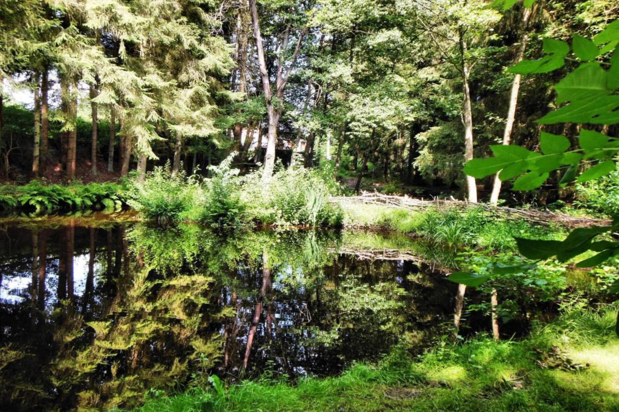La Maison du Gnome-Areas summer 20km