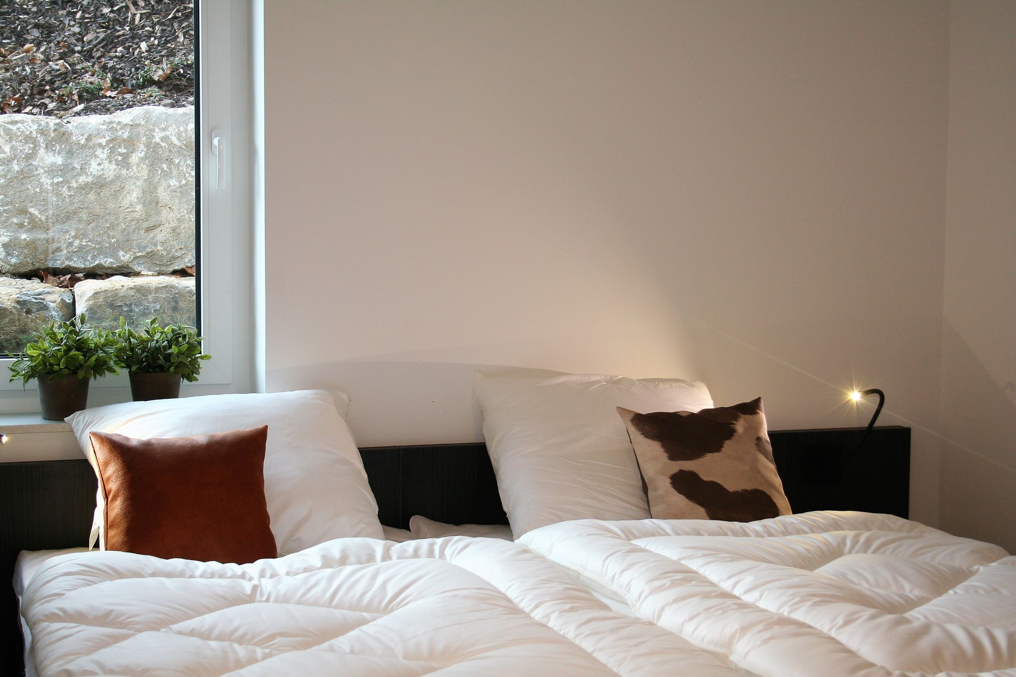 Modern, cozy apartment on the edge of Winterberg