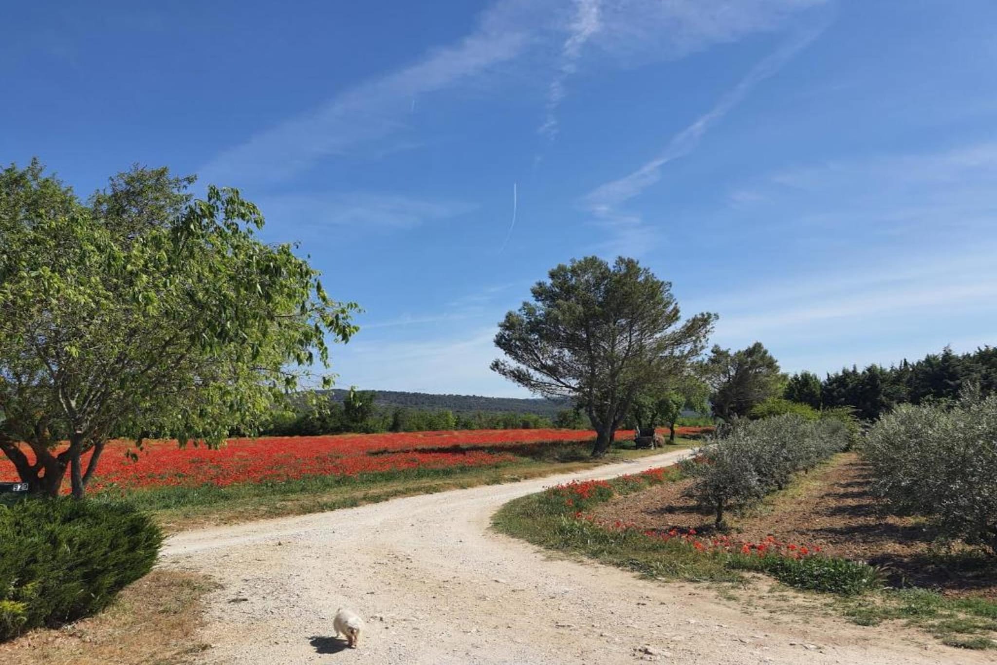 La Bastide des Chênes 3-Gebieden zomer 20km