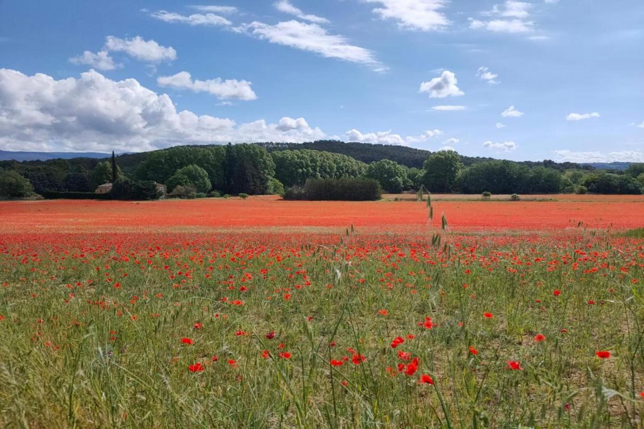 La Bastide des Chênes 3-Gebieden zomer 20km