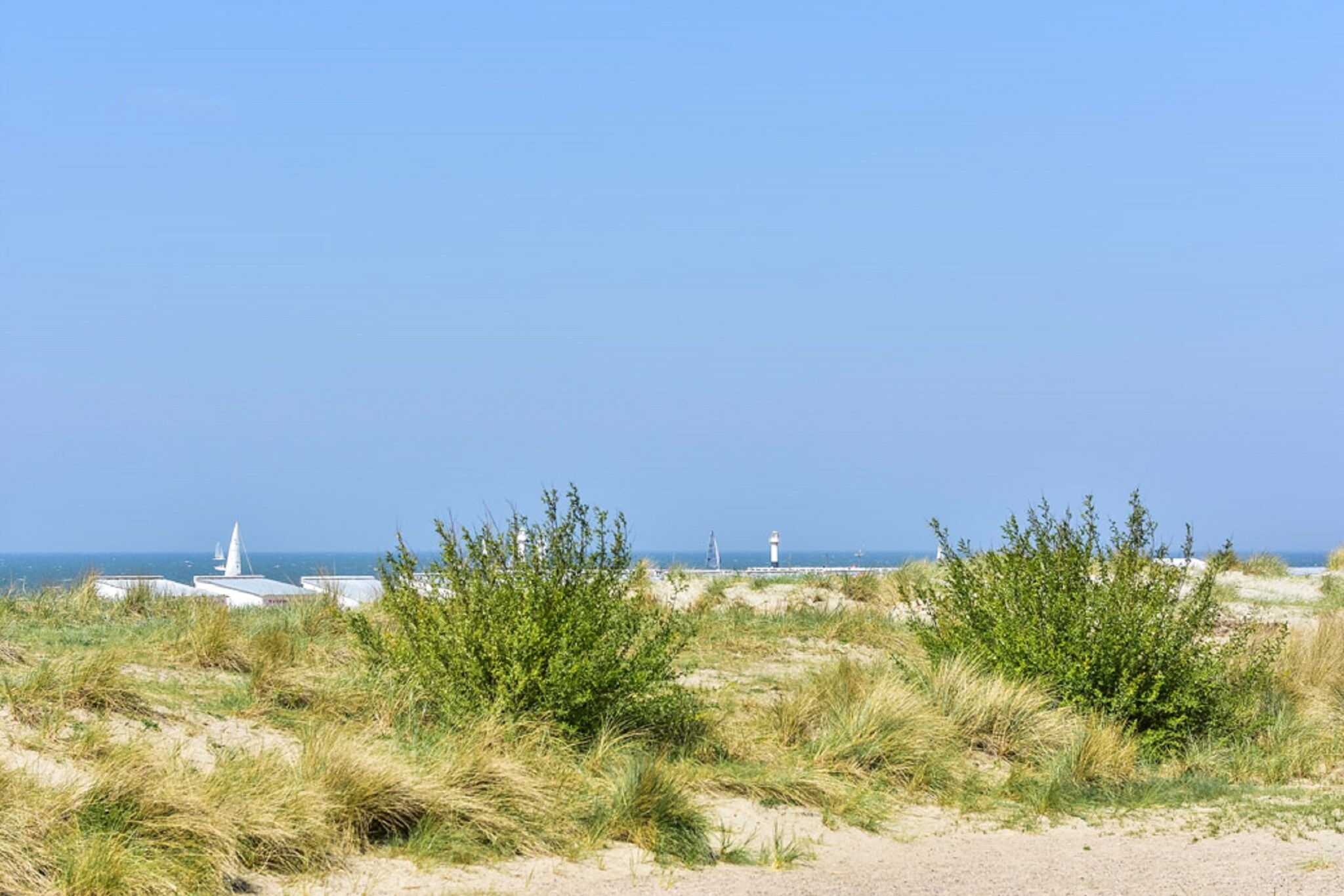 Vakantiehuis Nieuwpoort max. 5 personen 2 huisdieren 1 slaapkamer #19