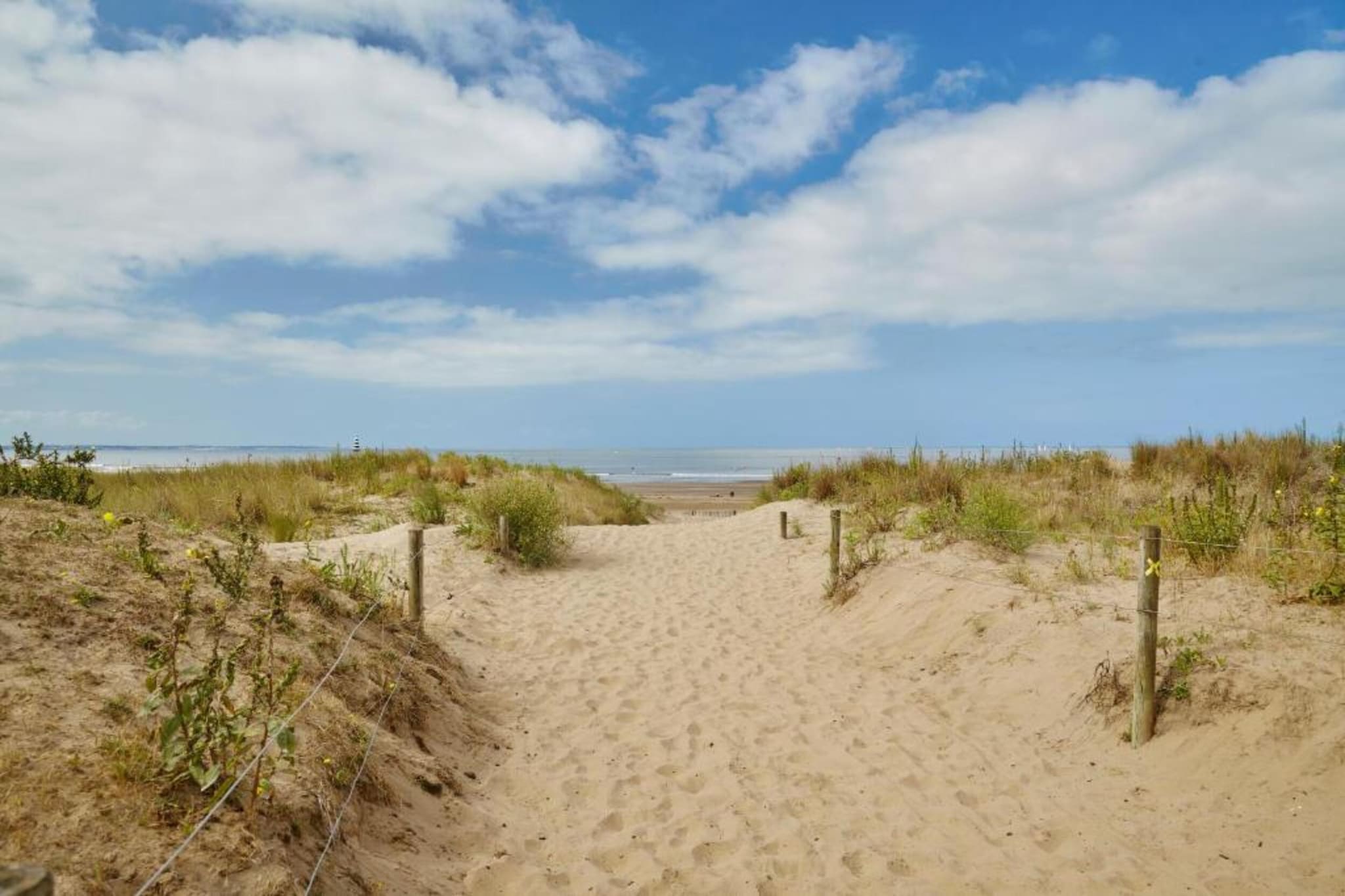 Residence de la Plage 11-Gebieden zomer 20km