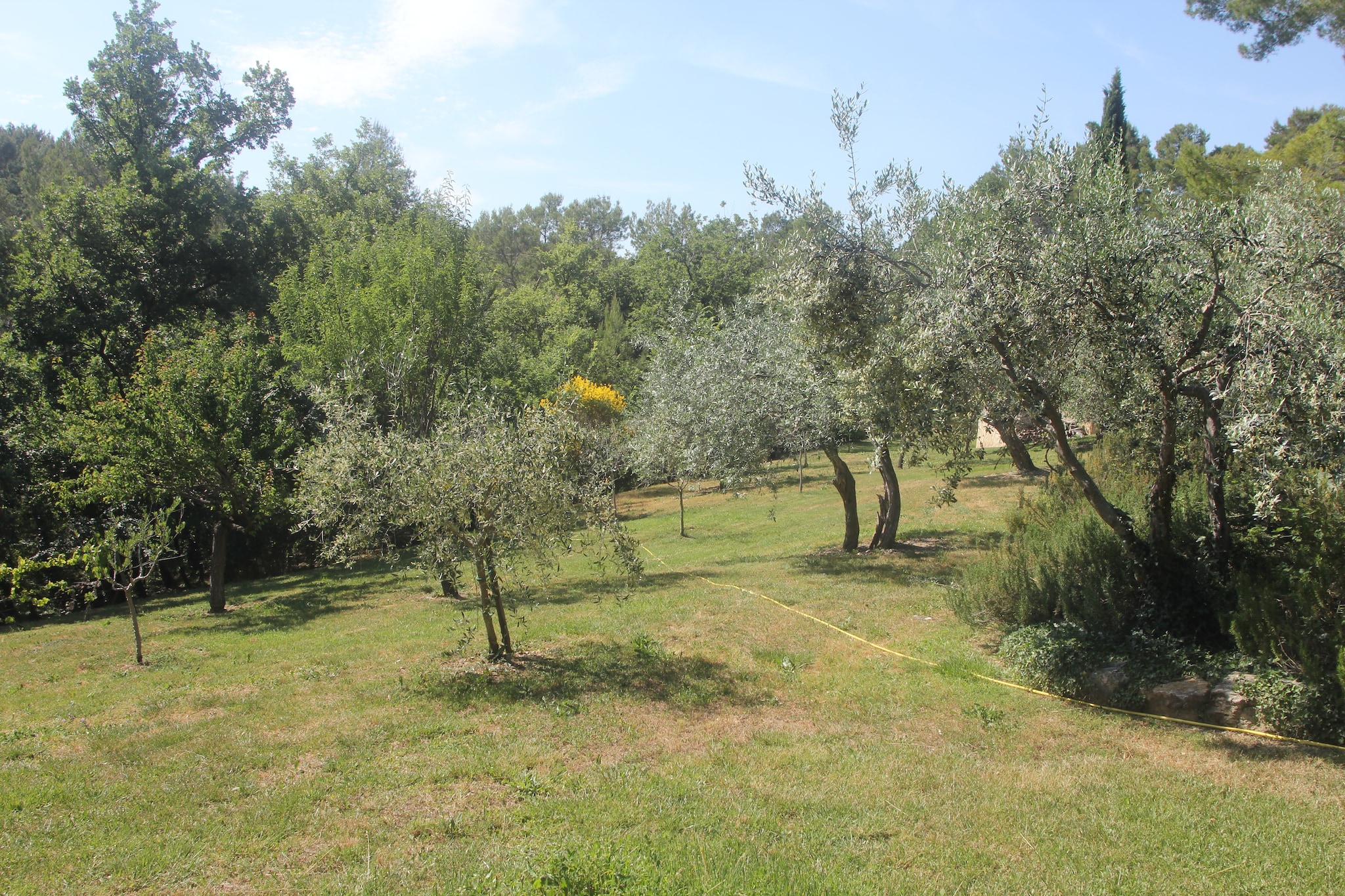 Lavagne-Gardens summer