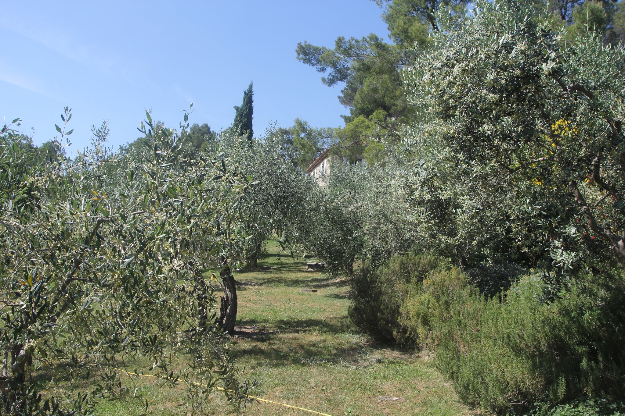 Lavagne-Gardens summer