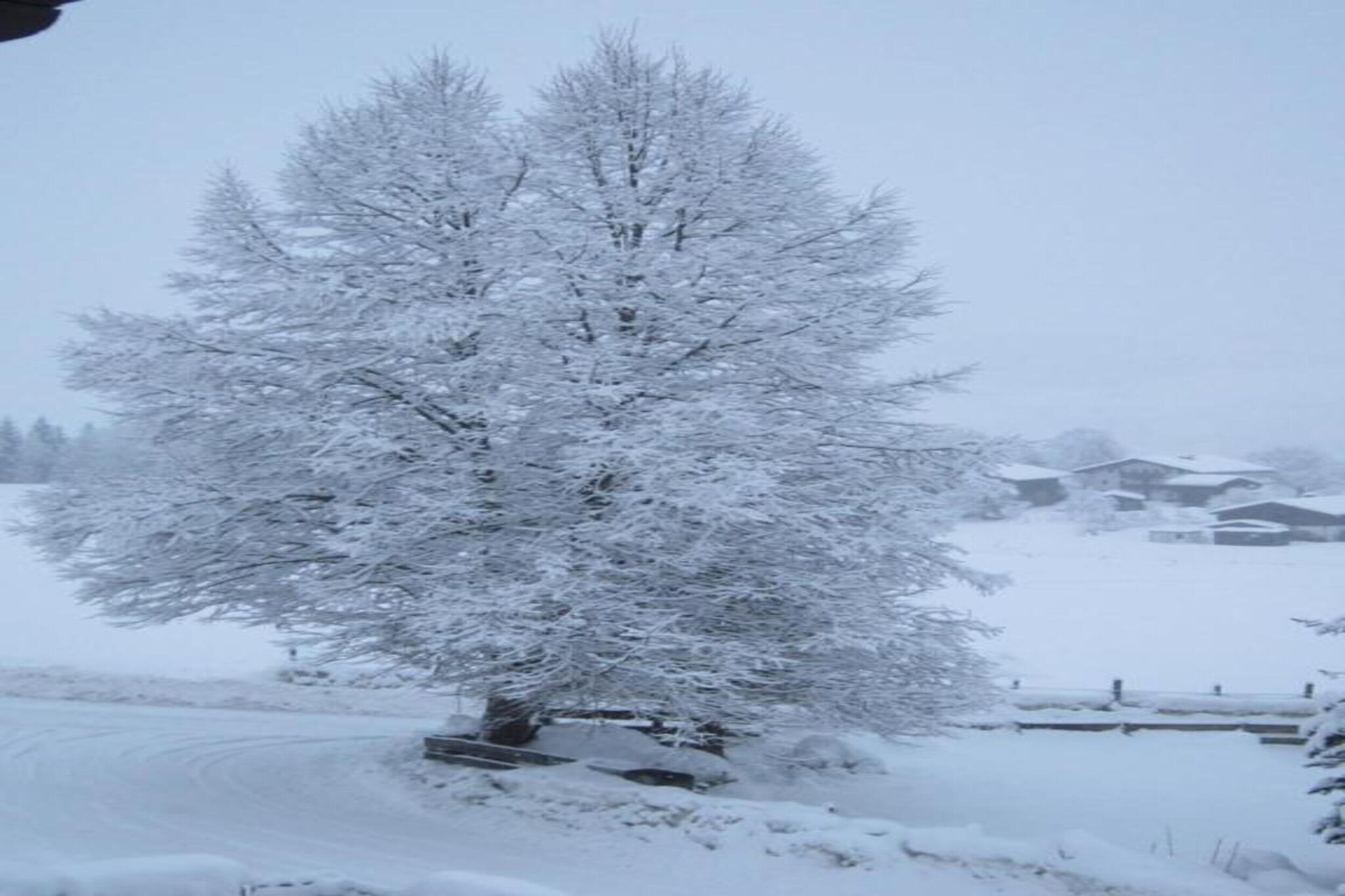 Chalet Lengberg B2-Gebied winter 20km