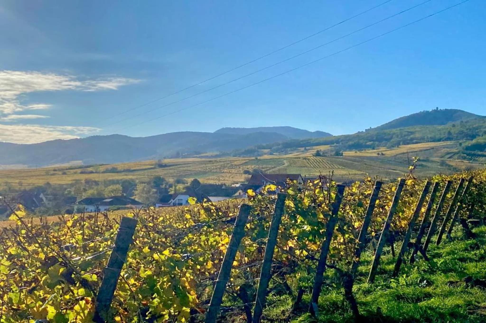 Le Domaine des Rois 1-Areas summer 5km