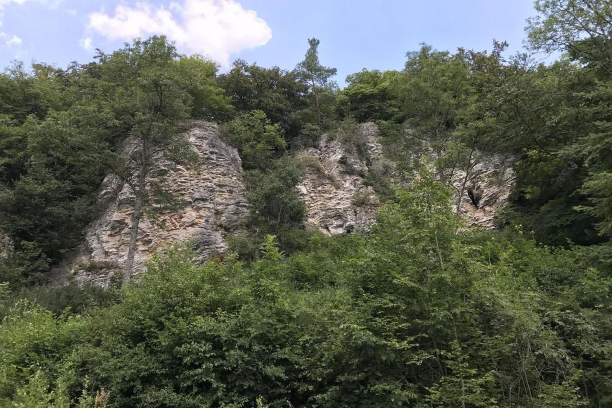 Waldferienpark Gerolstein 1-Gebieden zomer 20km