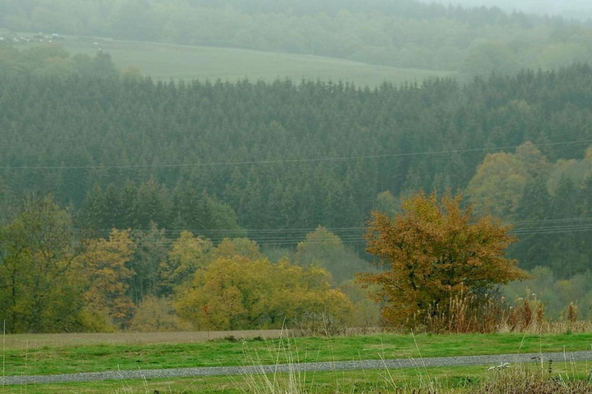 Waldferienpark Gerolstein 1-Gebieden zomer 5km