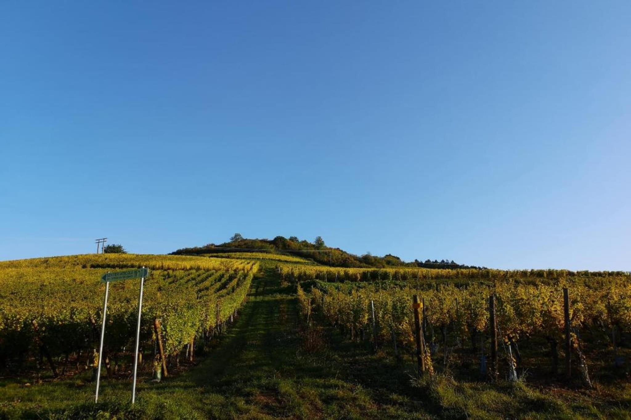Le Domaine des Rois 2-Areas summer 1km