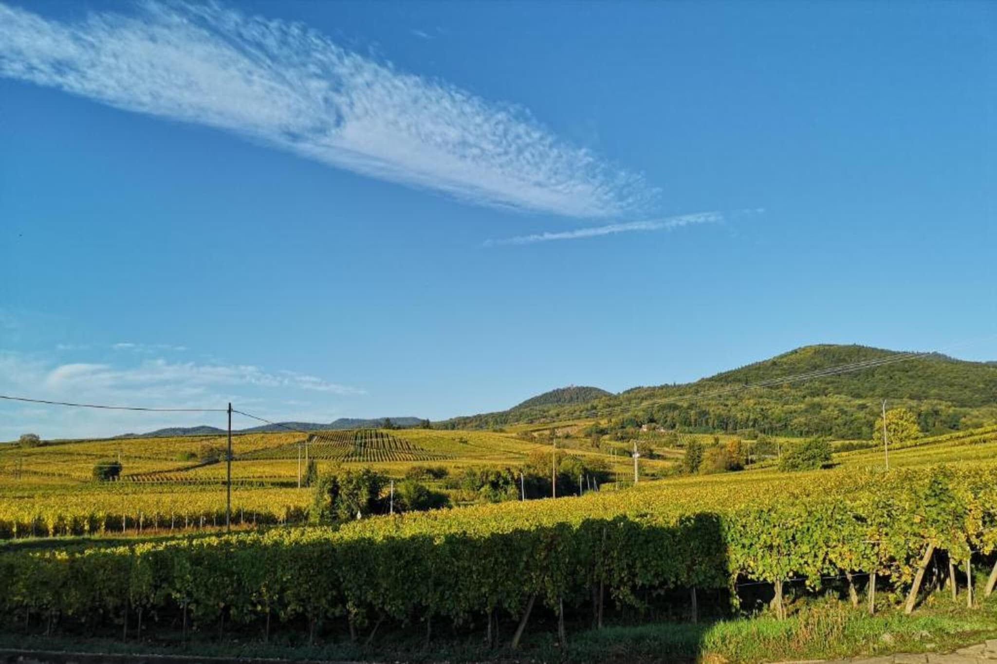 Le Domaine des Rois 2-Areas summer 1km