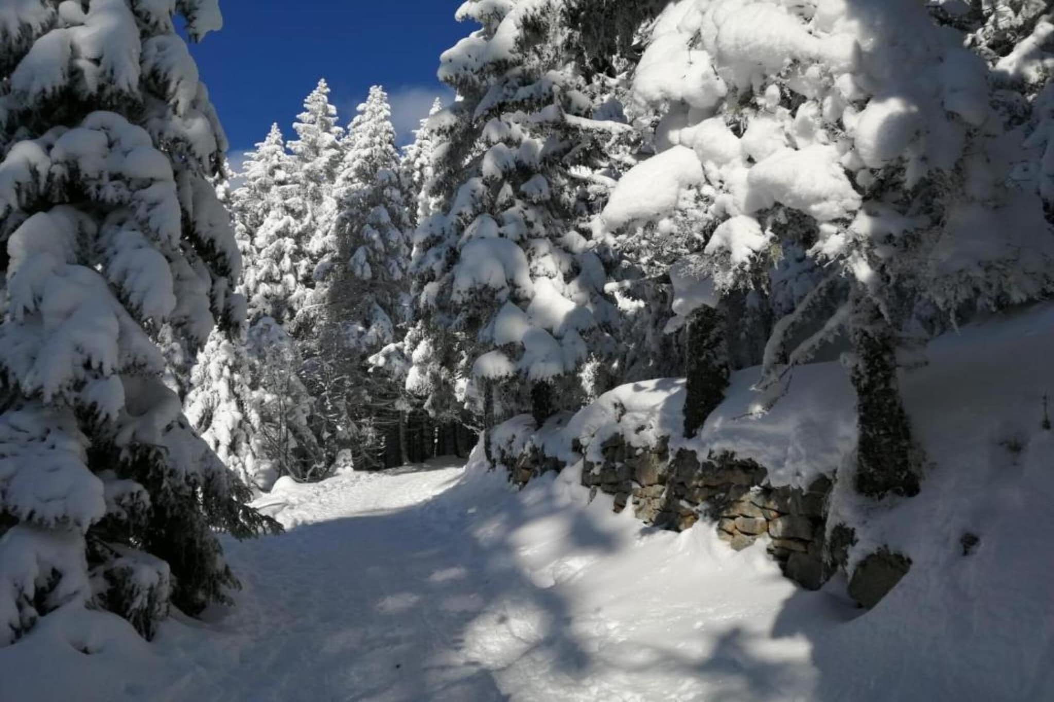 Le Domaine des Rois 2-Area winter 5km
