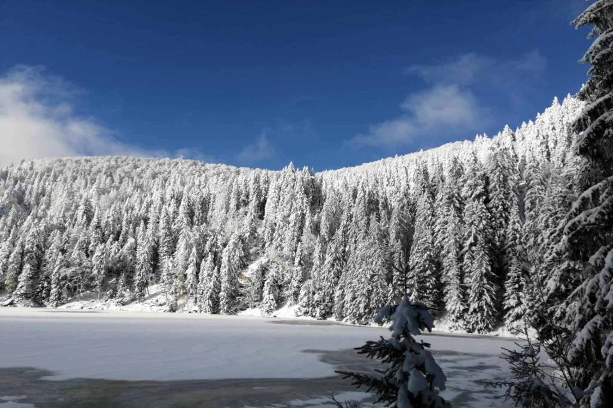 Le Domaine des Rois 2-Area winter 5km