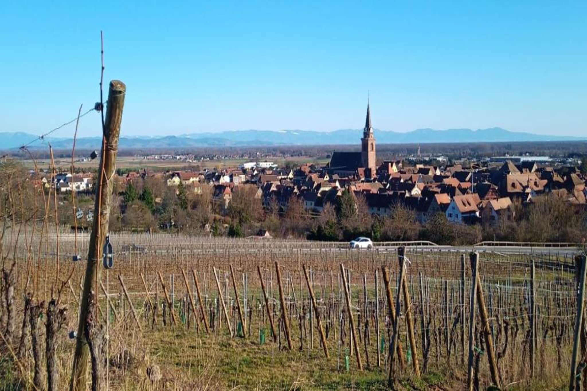 Le Domaine des Rois 2-Areas summer 5km