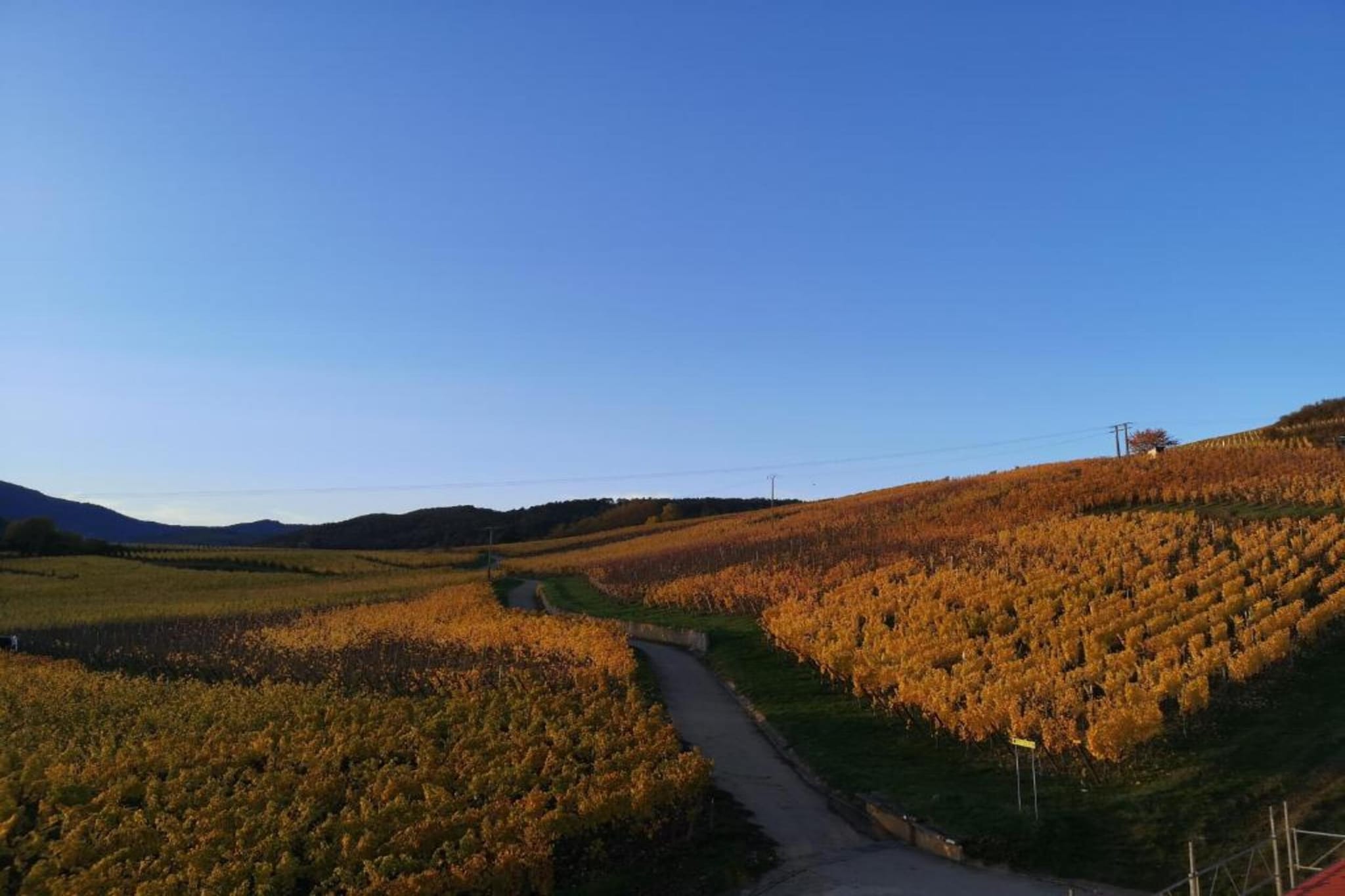 Le Domaine des Rois 2-Areas summer 5km