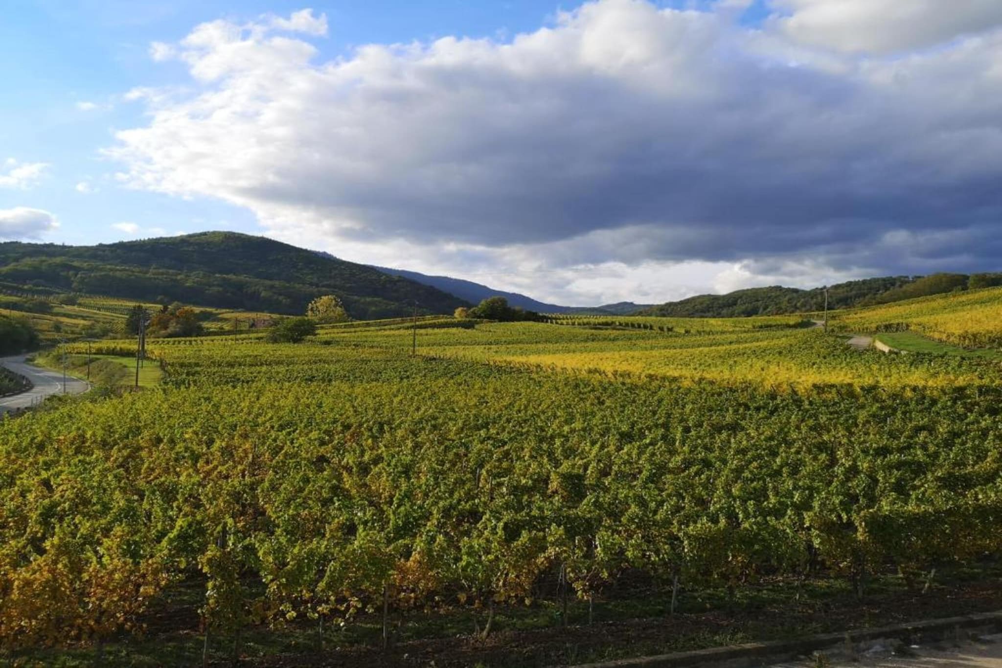 Le Domaine des Rois 2-Areas summer 5km