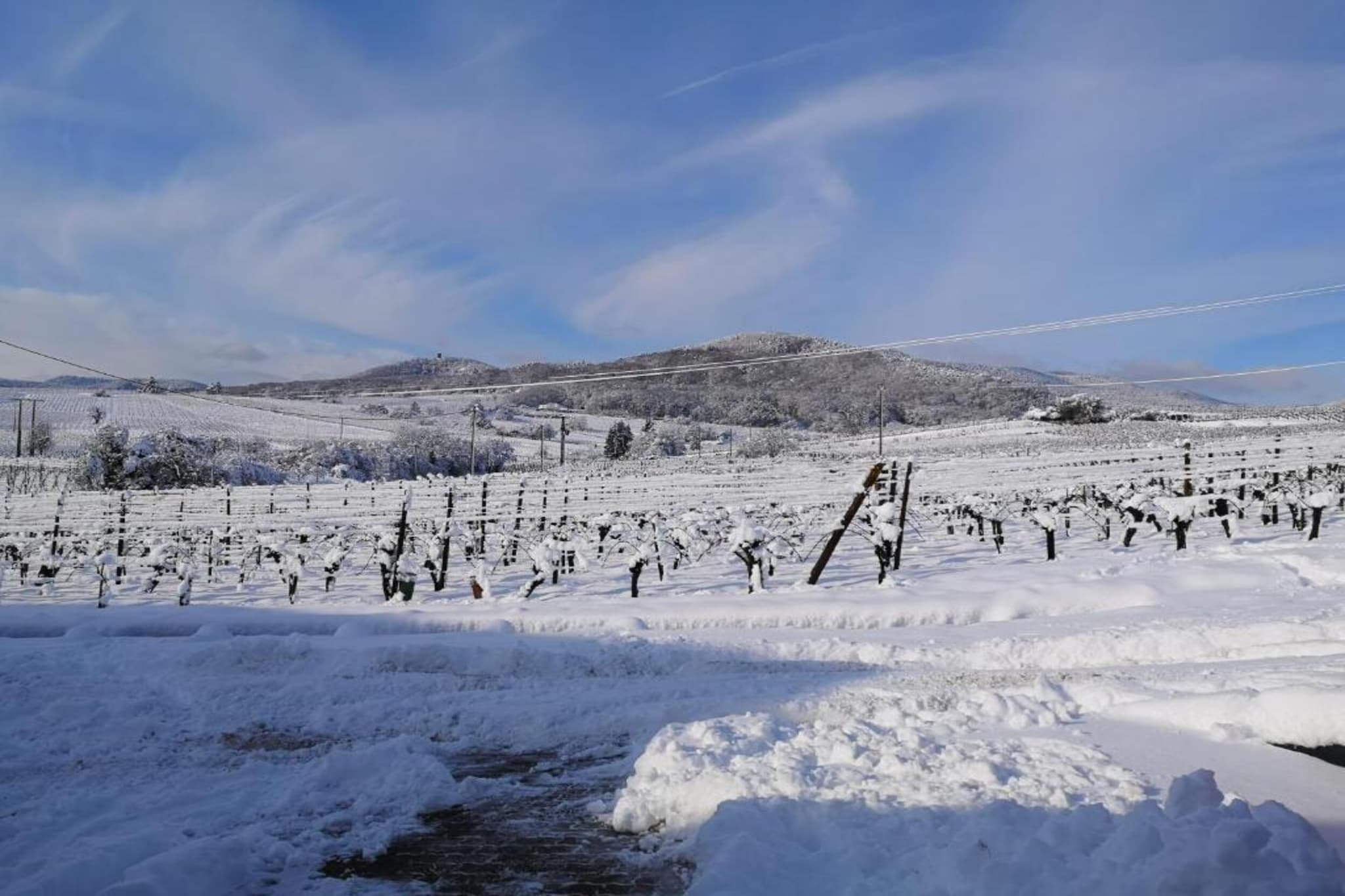 Le Domaine des Rois 2-Area winter 5km