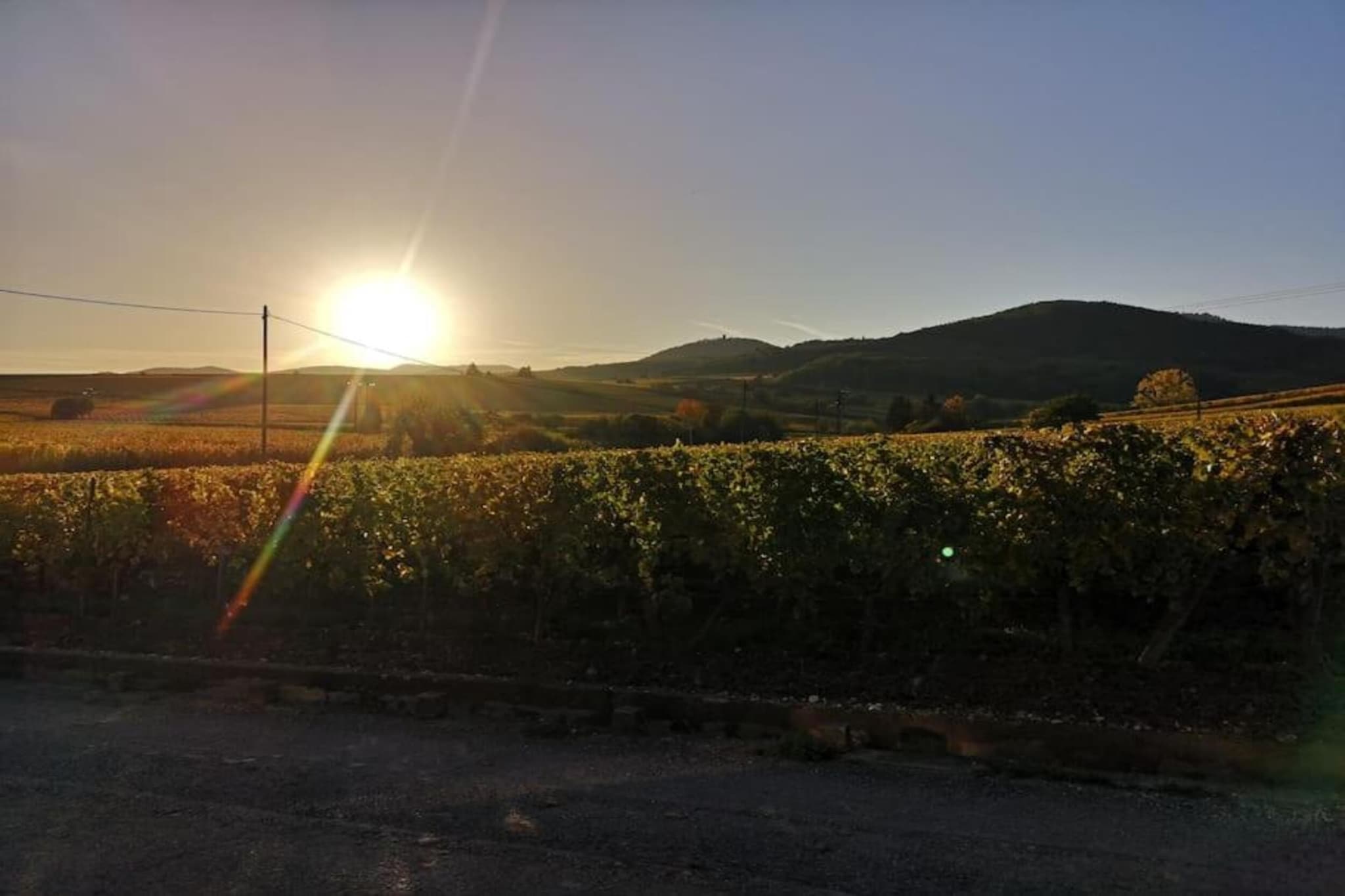 Le Domaine des Rois 2-Areas summer 5km