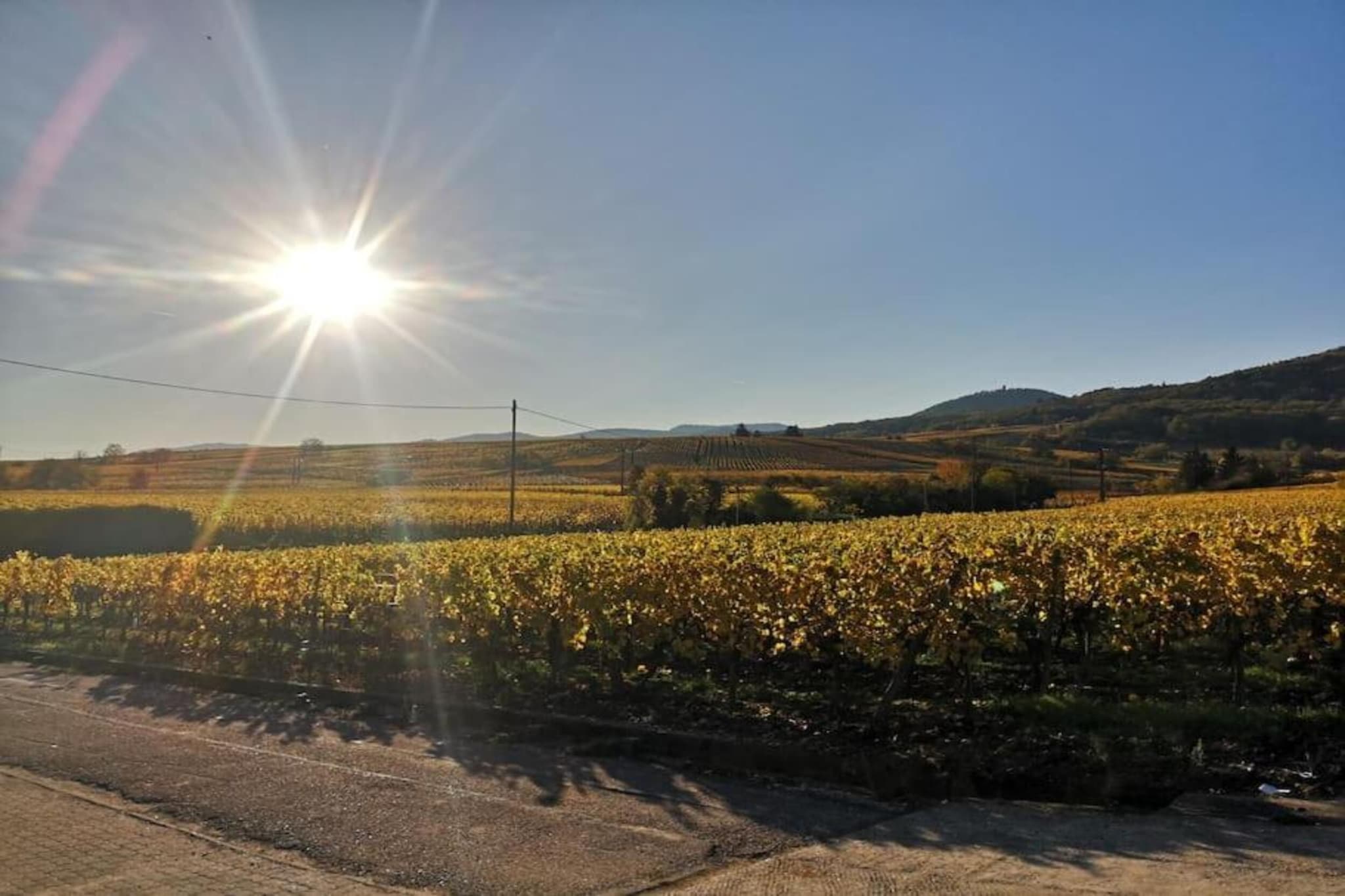 Le Domaine des Rois 2-Areas summer 5km