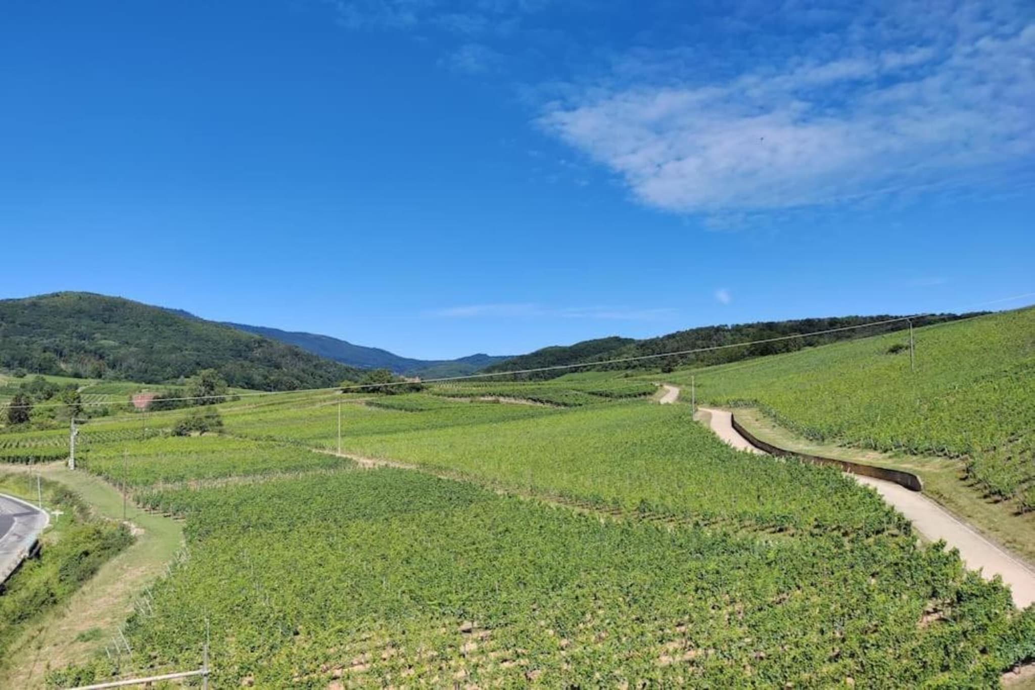 Le Domaine des Rois 2-Areas summer 5km