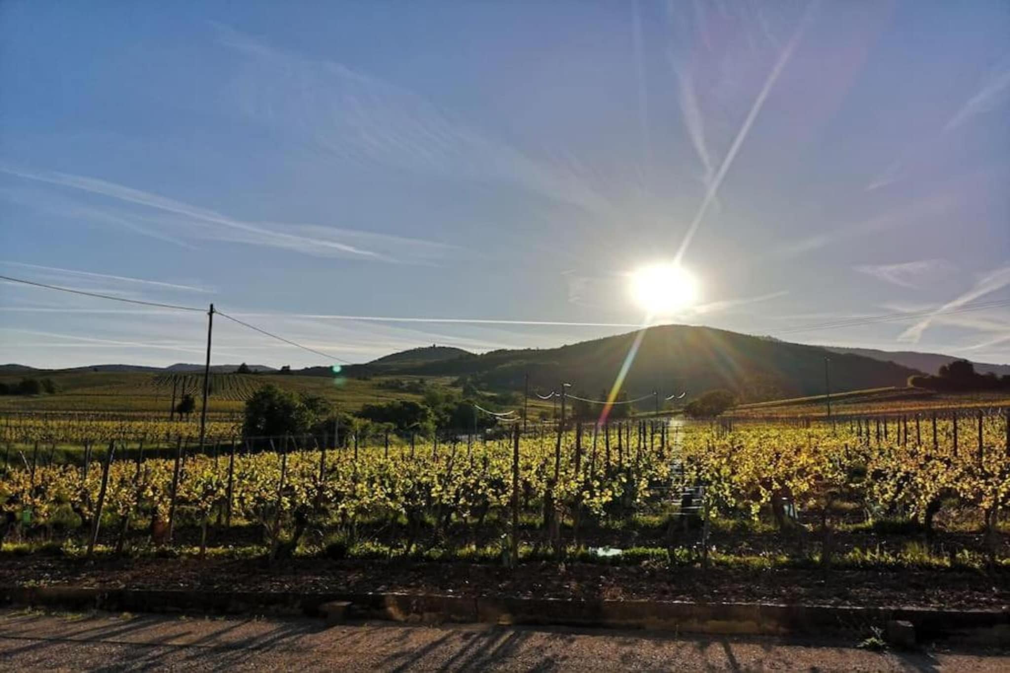 Le Domaine des Rois 2-Areas summer 5km