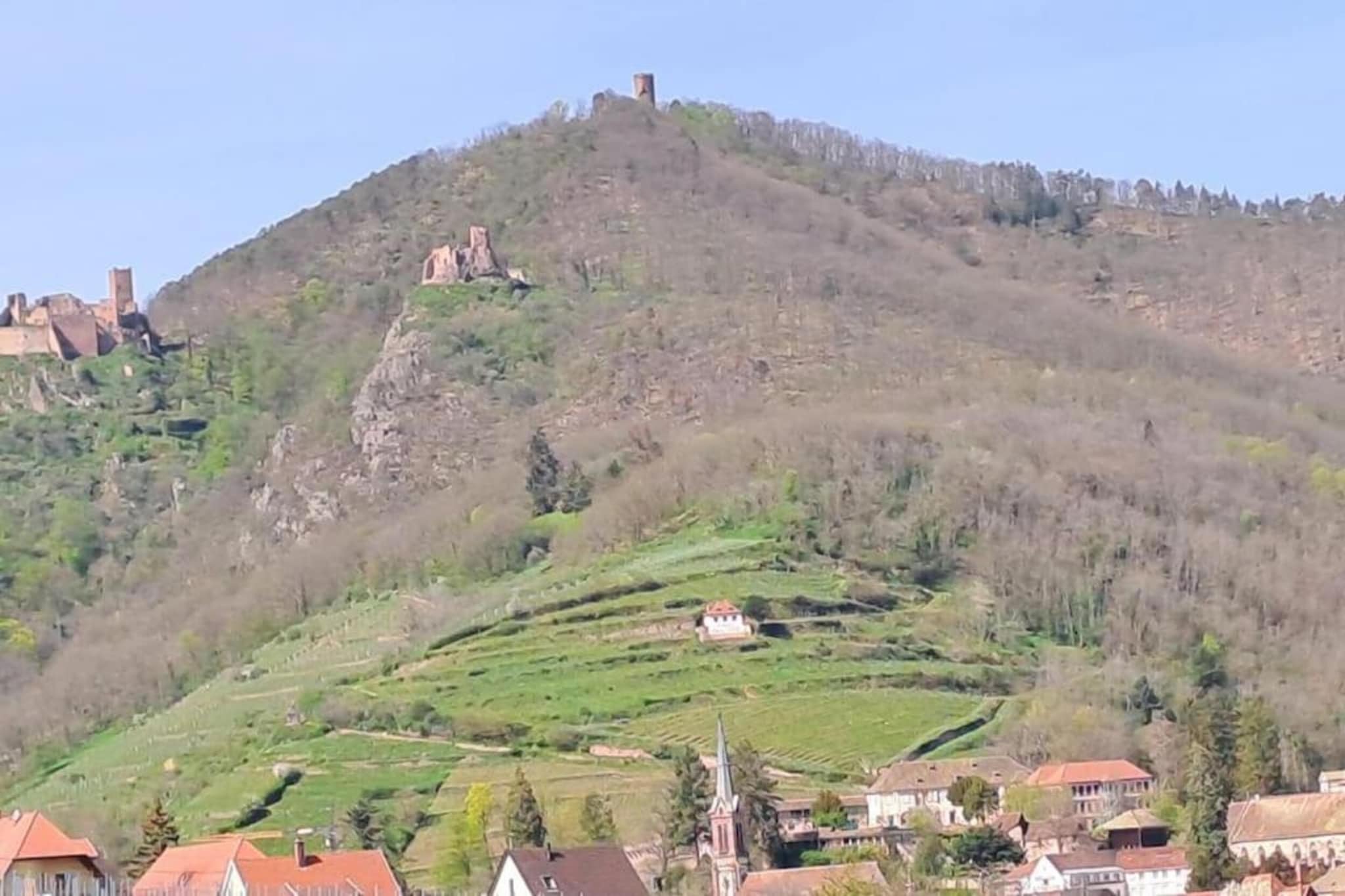 Le Domaine des Rois 2-Areas summer 5km