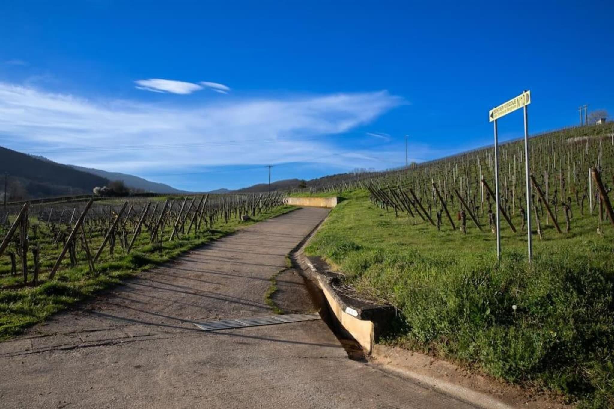 Le Domaine des Rois 2-Areas summer 5km