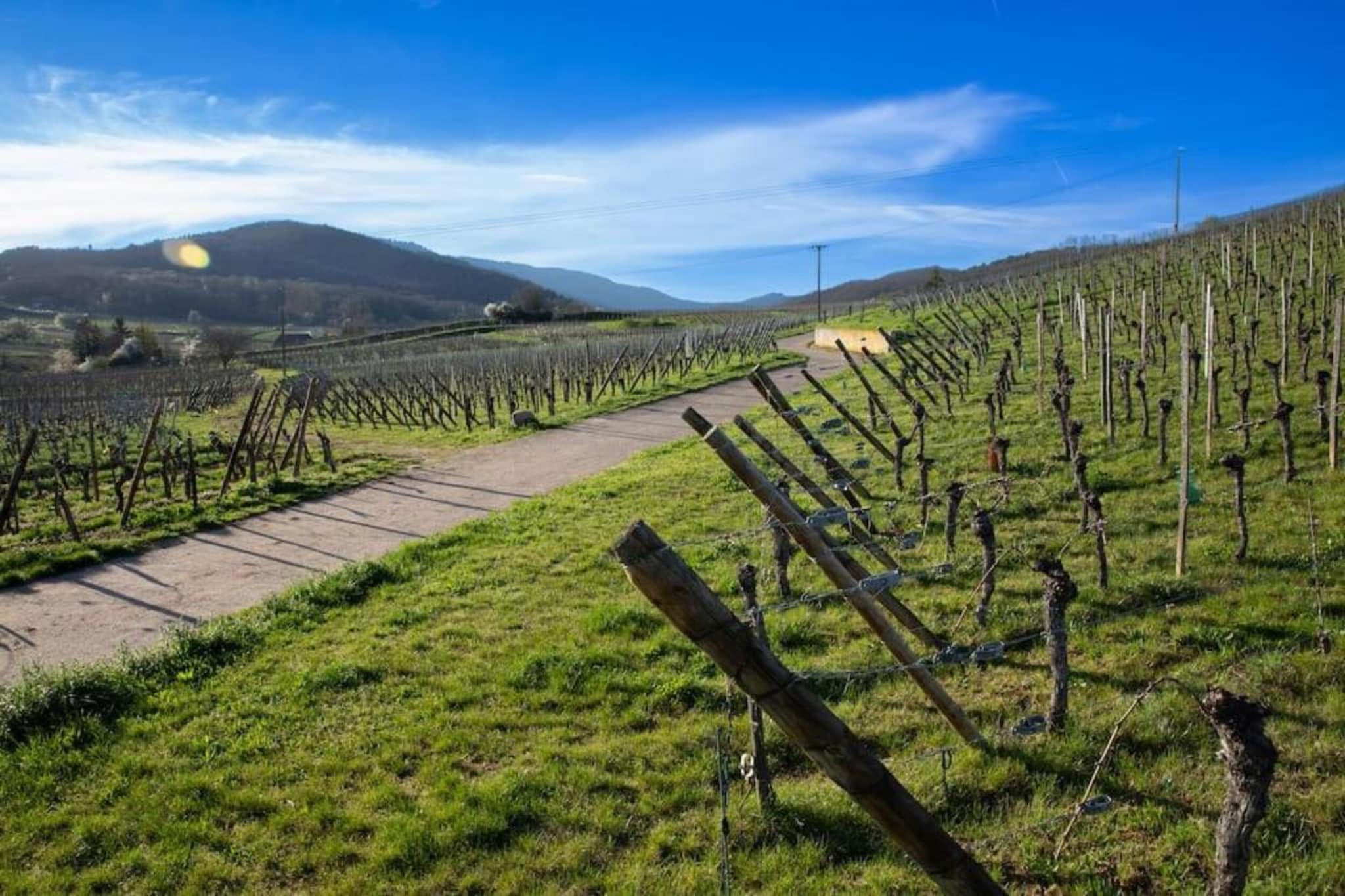Le Domaine des Rois 2-Areas summer 5km